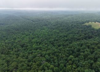 HUNTING LAND FOR SALE IN NORTH CENTRAL ARKANSAS