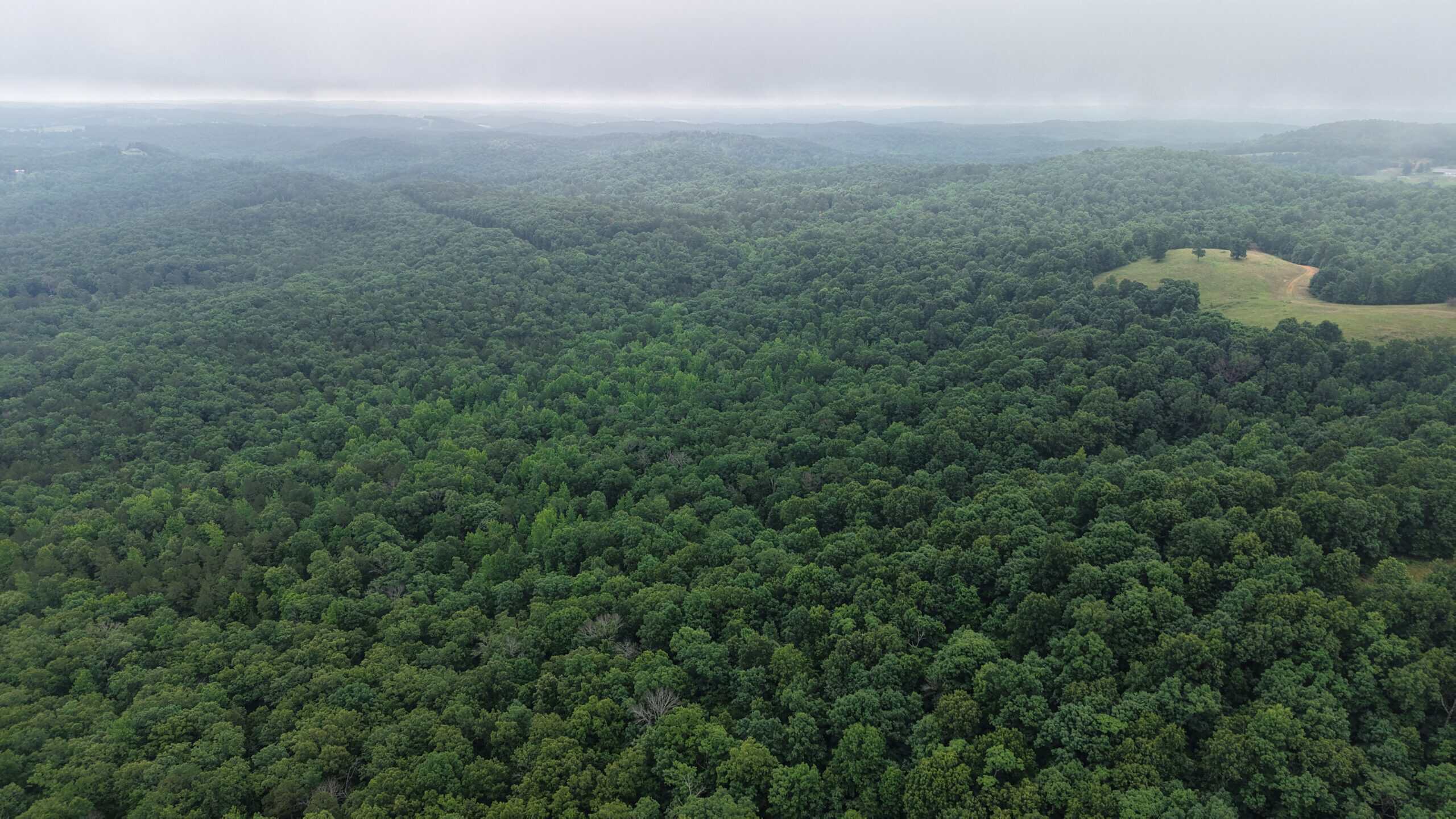 HUNTING LAND FOR SALE IN NORTH CENTRAL ARKANSAS