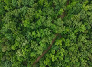 HUNTING LAND FOR SALE IN NORTH CENTRAL ARKANSAS