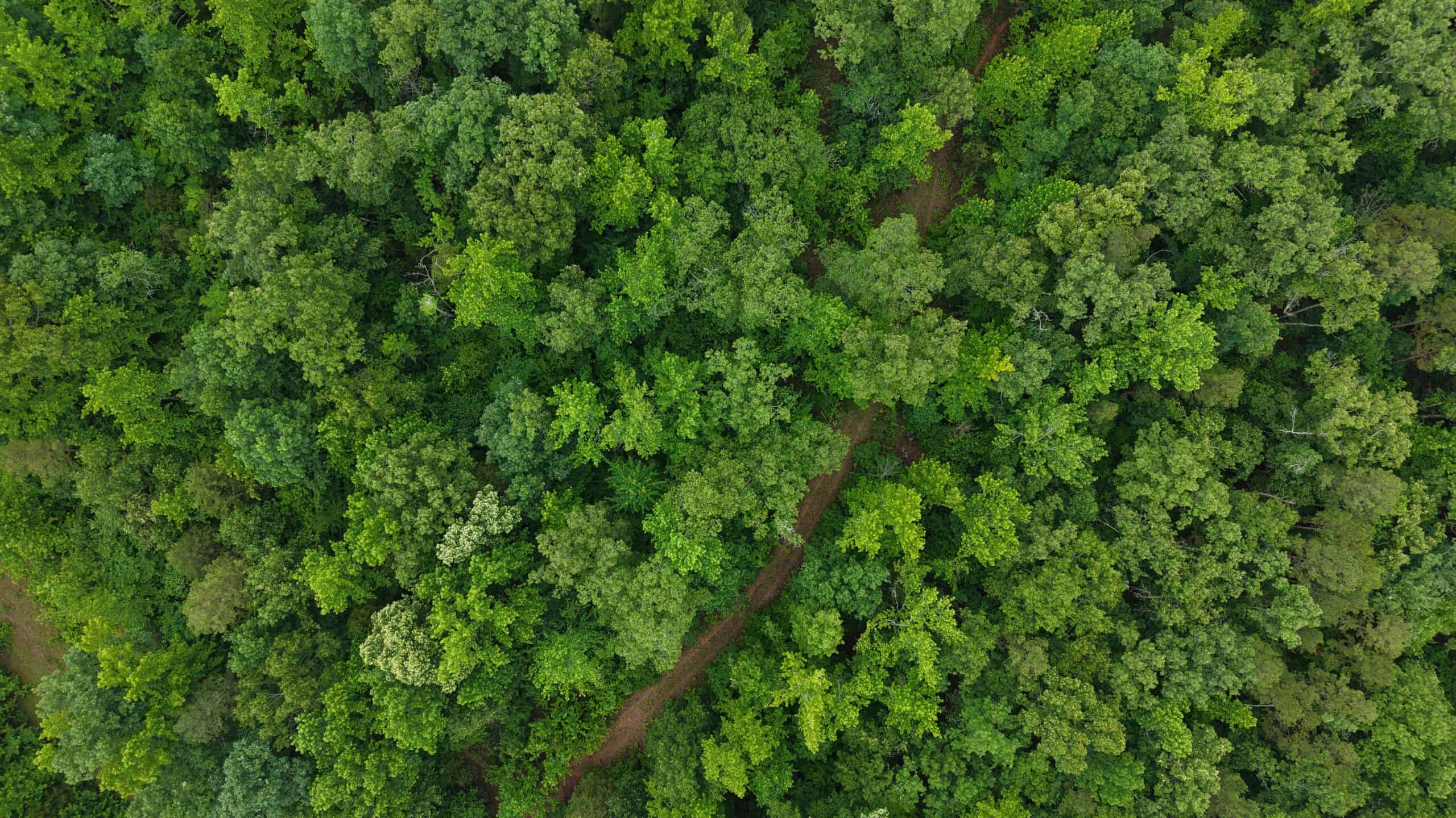 HUNTING LAND FOR SALE IN NORTH CENTRAL ARKANSAS