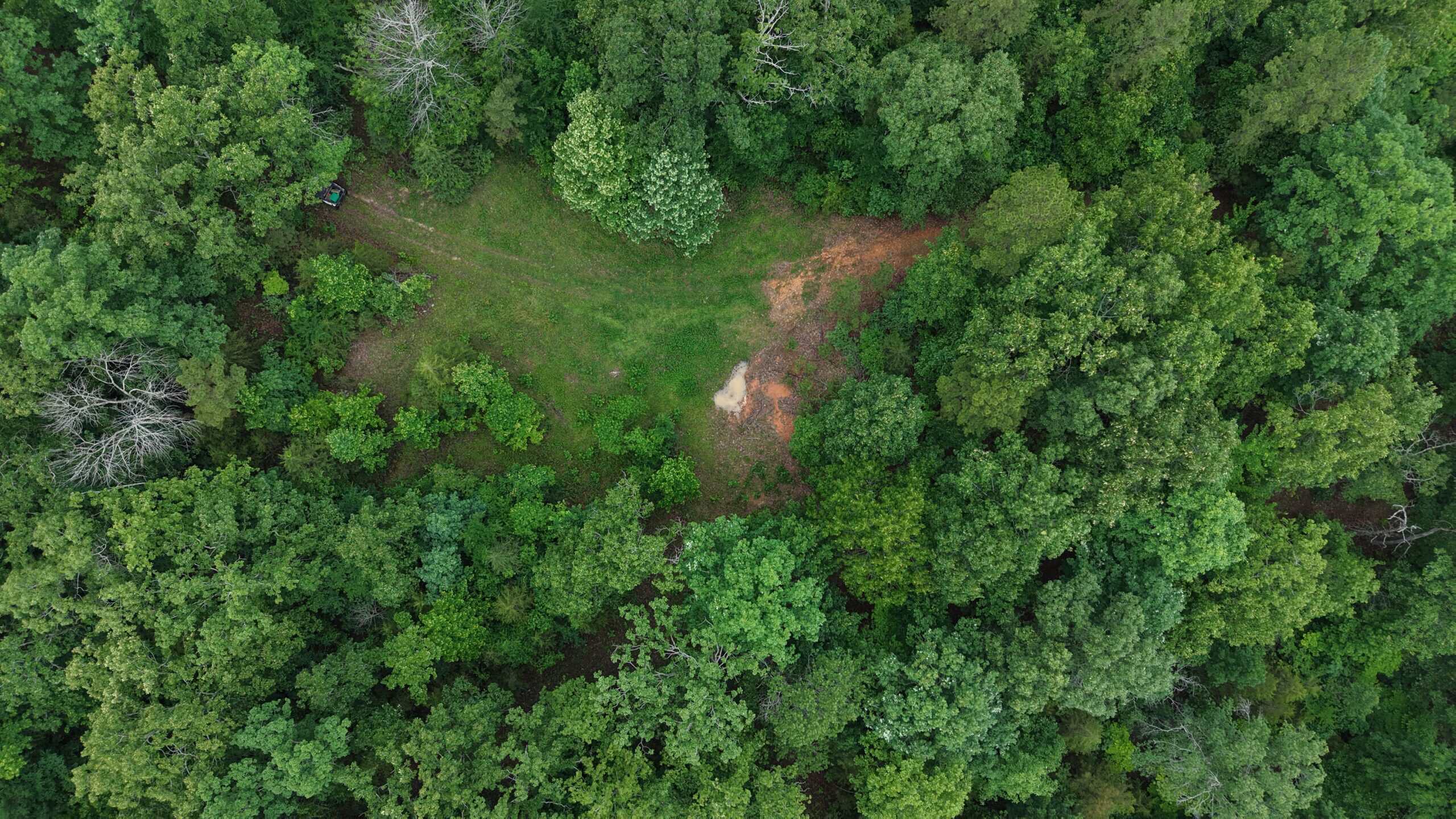 HUNTING LAND FOR SALE IN NORTH CENTRAL ARKANSAS