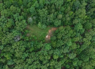 HUNTING LAND FOR SALE IN NORTH CENTRAL ARKANSAS