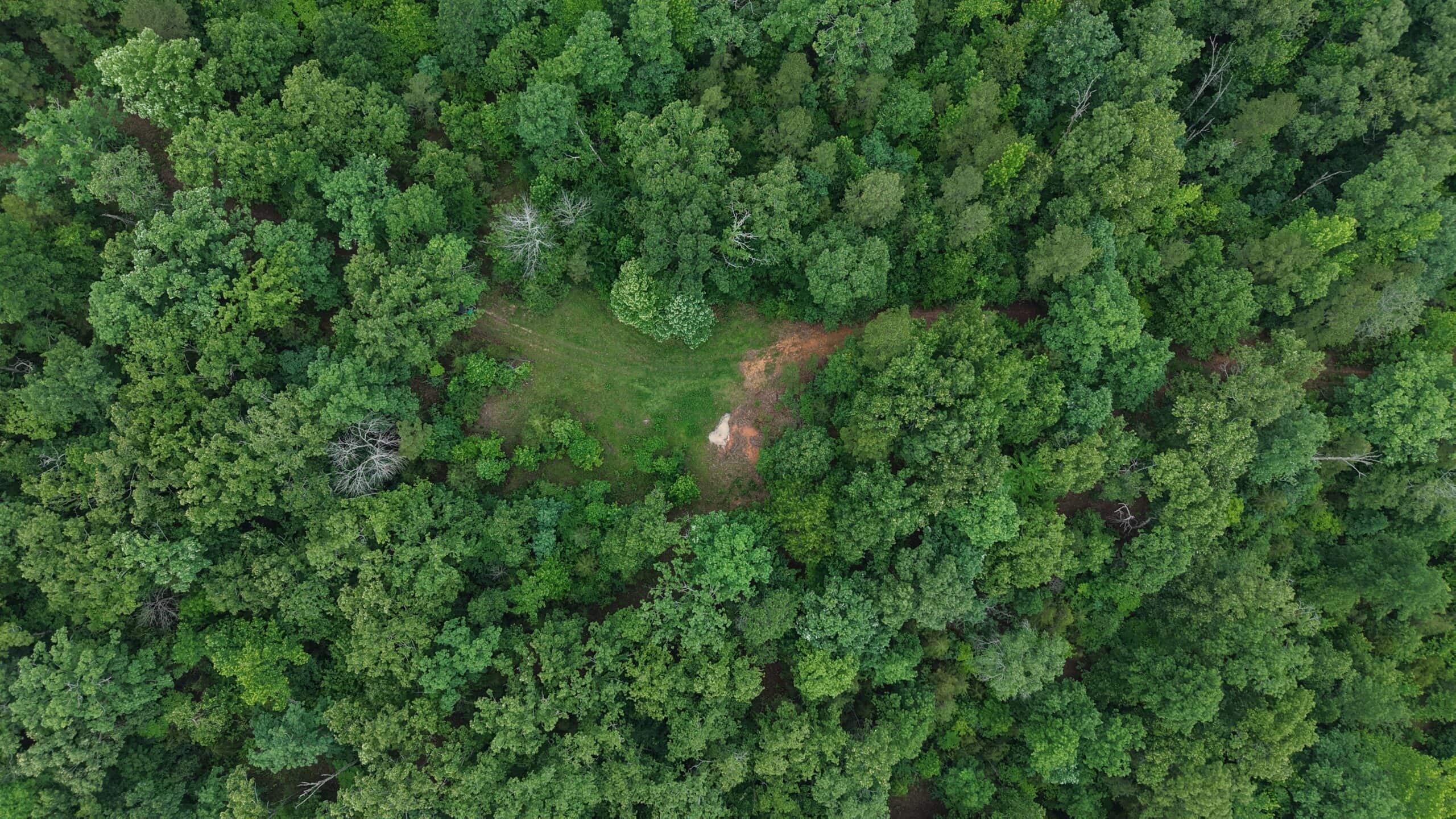 HUNTING LAND FOR SALE IN NORTH CENTRAL ARKANSAS