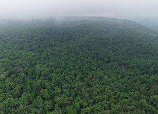 HUNTING LAND FOR SALE IN NORTH CENTRAL ARKANSAS