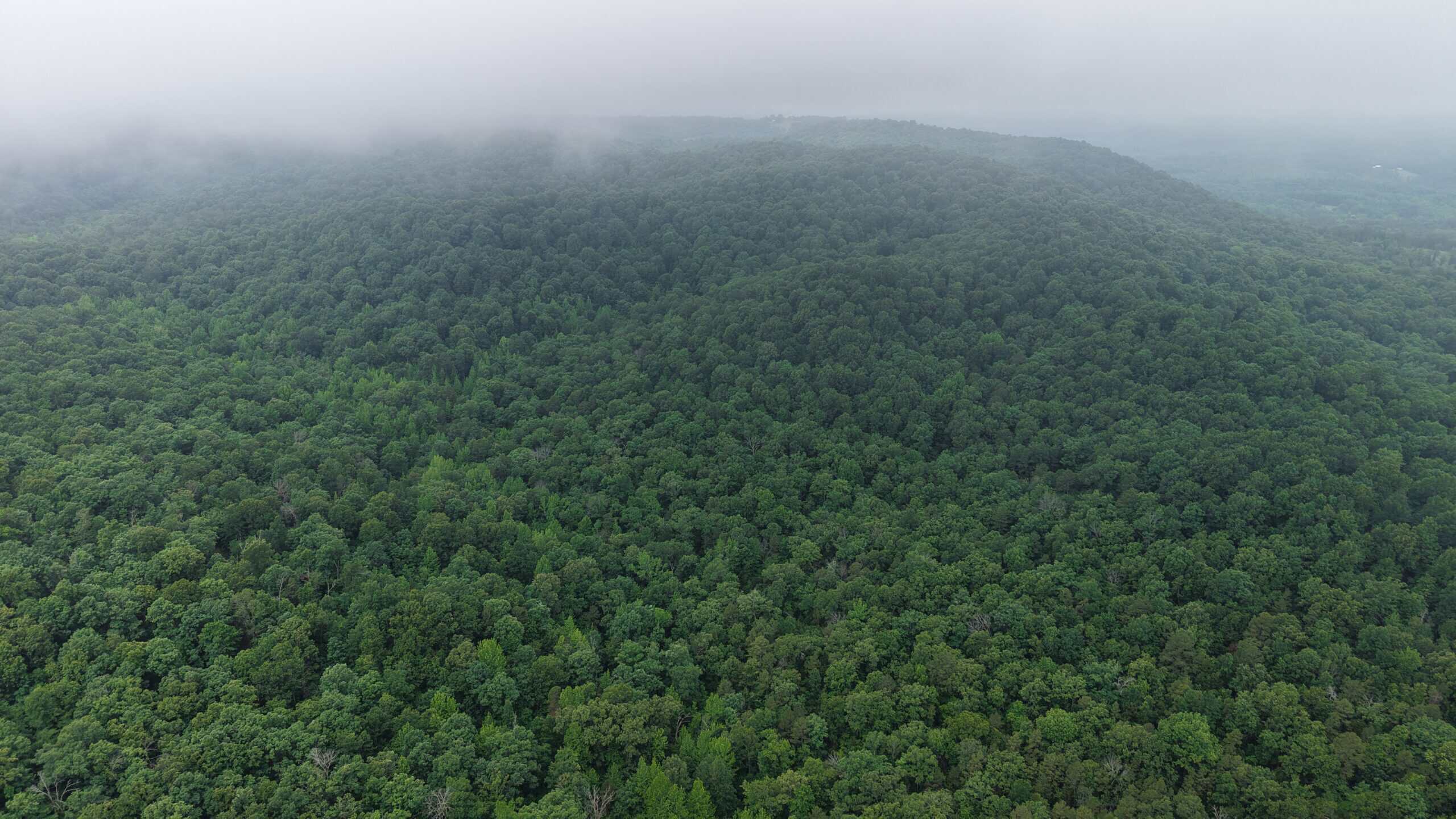 HUNTING LAND FOR SALE IN NORTH CENTRAL ARKANSAS