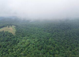 HUNTING LAND FOR SALE IN NORTH CENTRAL ARKANSAS
