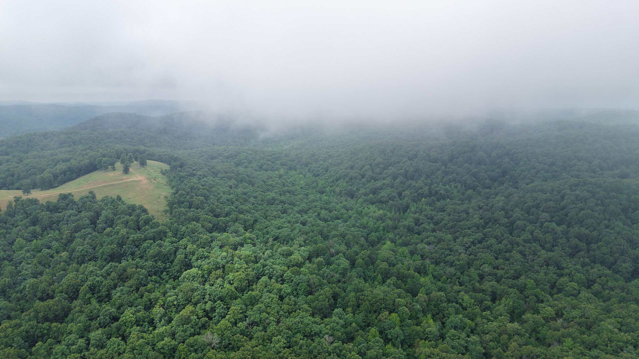HUNTING LAND FOR SALE IN NORTH CENTRAL ARKANSAS