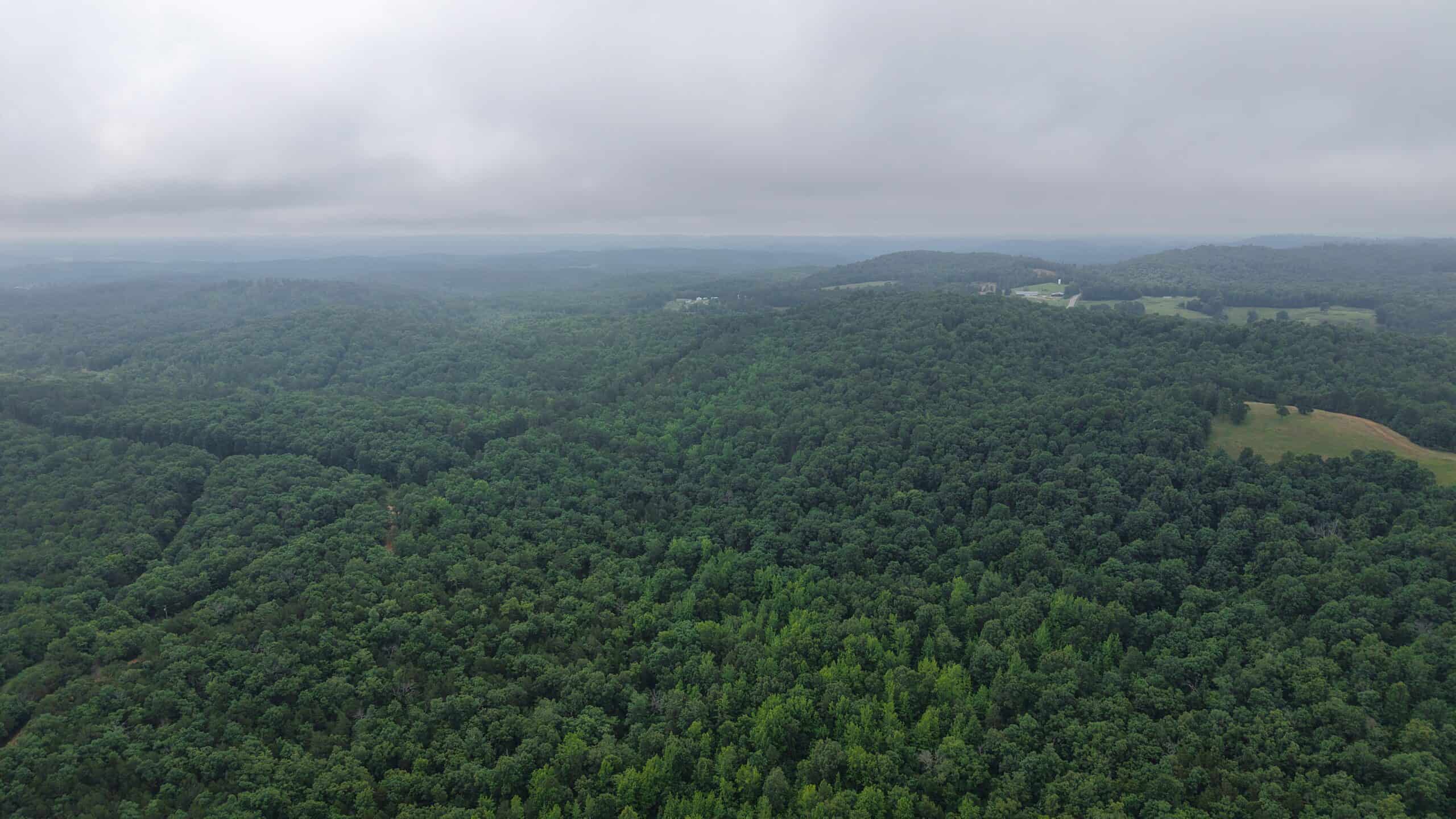 HUNTING LAND FOR SALE IN NORTH CENTRAL ARKANSAS