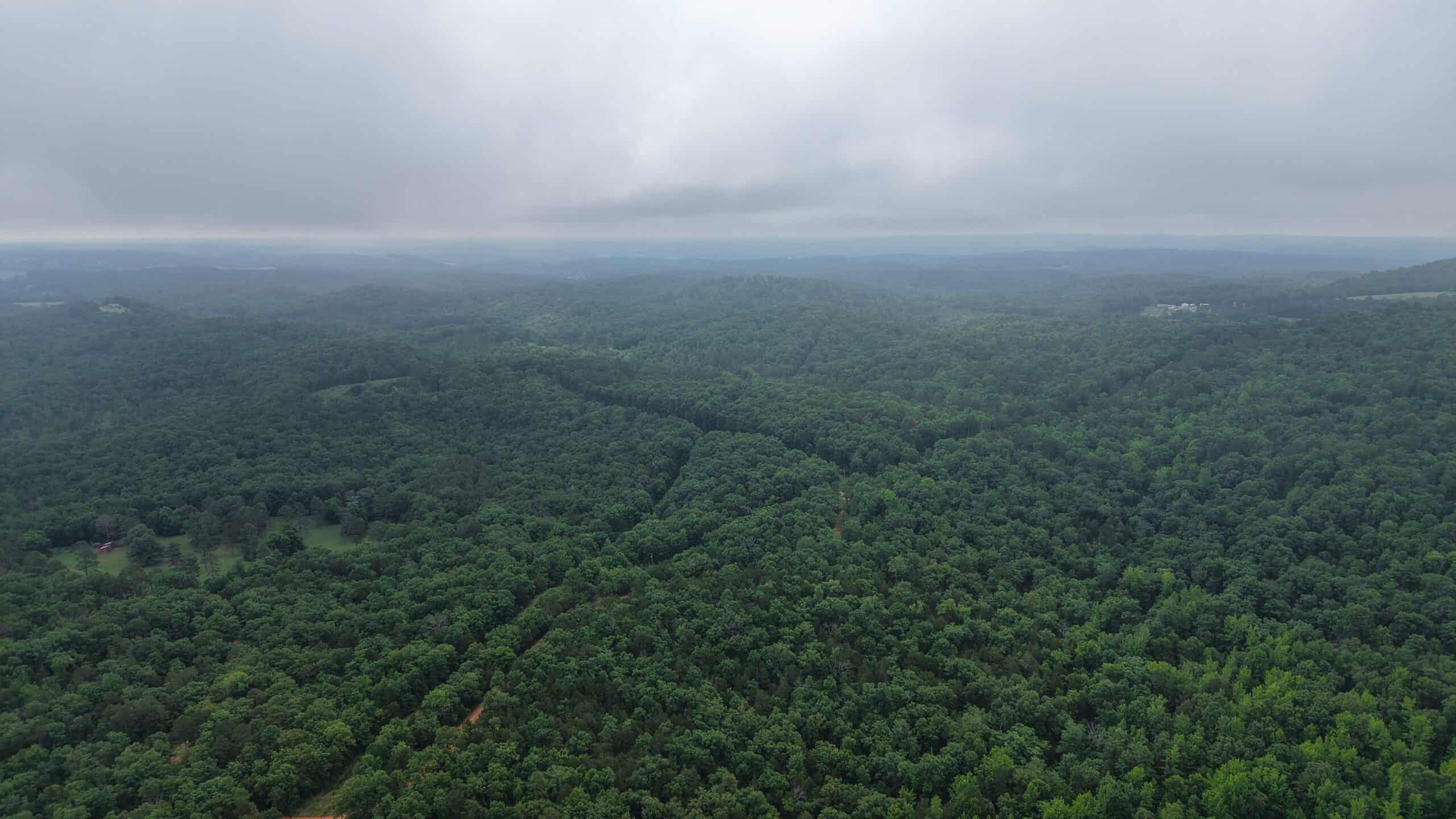 HUNTING LAND FOR SALE IN NORTH CENTRAL ARKANSAS