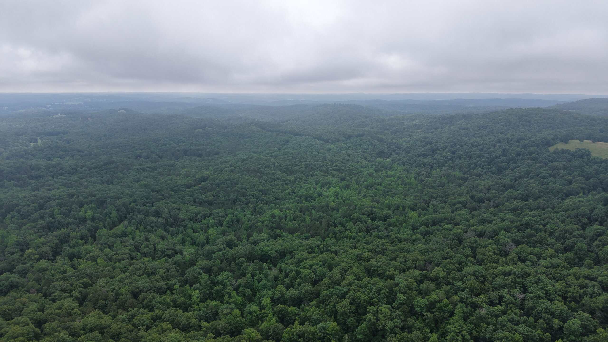 HUNTING LAND FOR SALE IN NORTH CENTRAL ARKANSAS