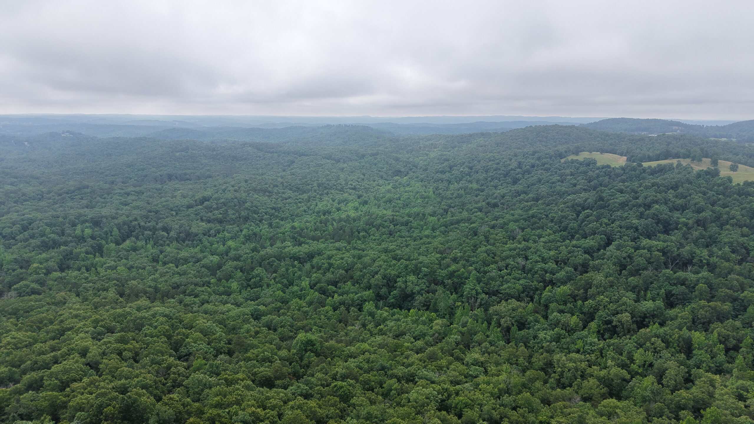 HUNTING LAND FOR SALE IN NORTH CENTRAL ARKANSAS