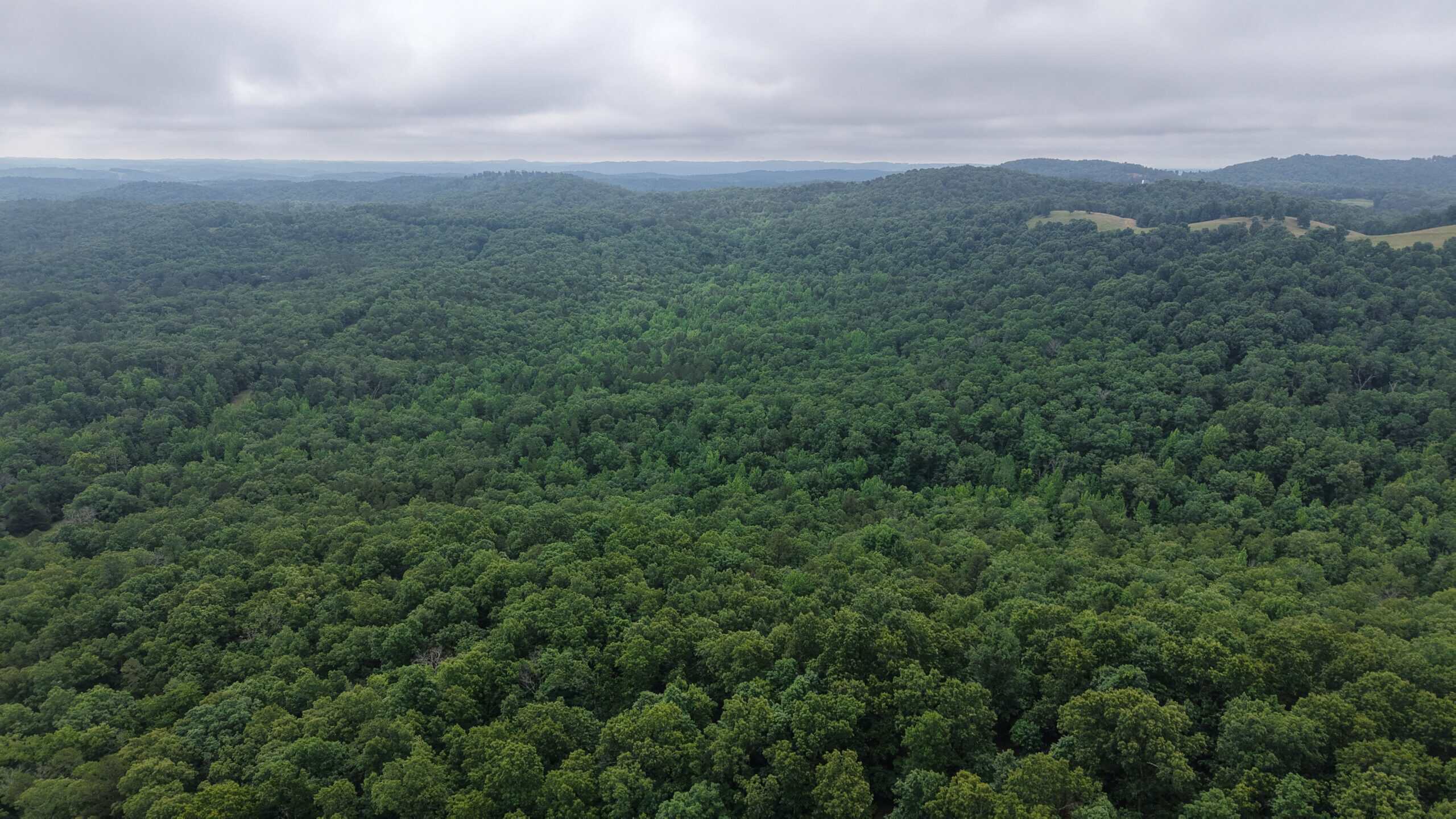 HUNTING LAND FOR SALE IN NORTH CENTRAL ARKANSAS