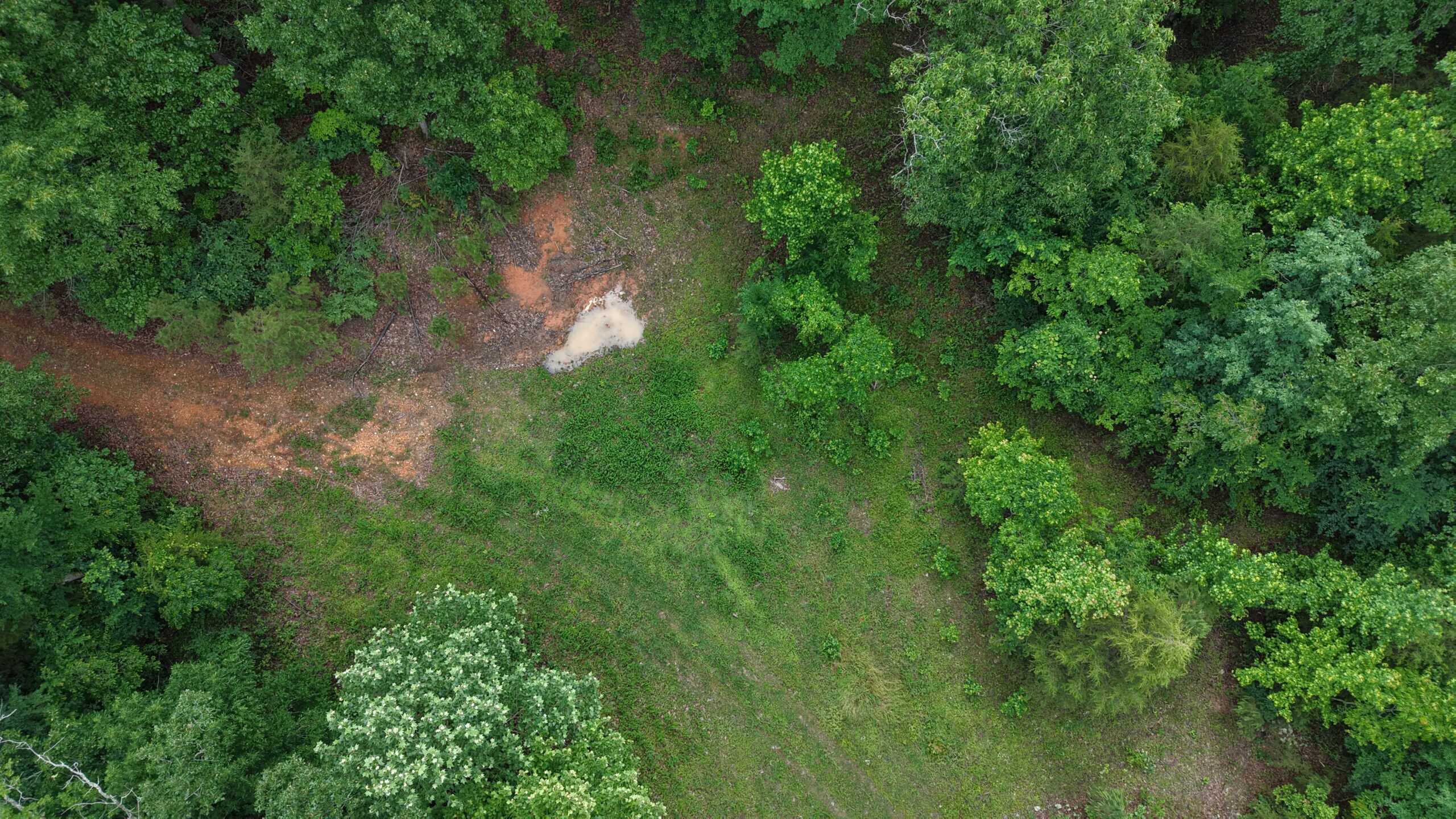HUNTING LAND FOR SALE IN NORTH CENTRAL ARKANSAS