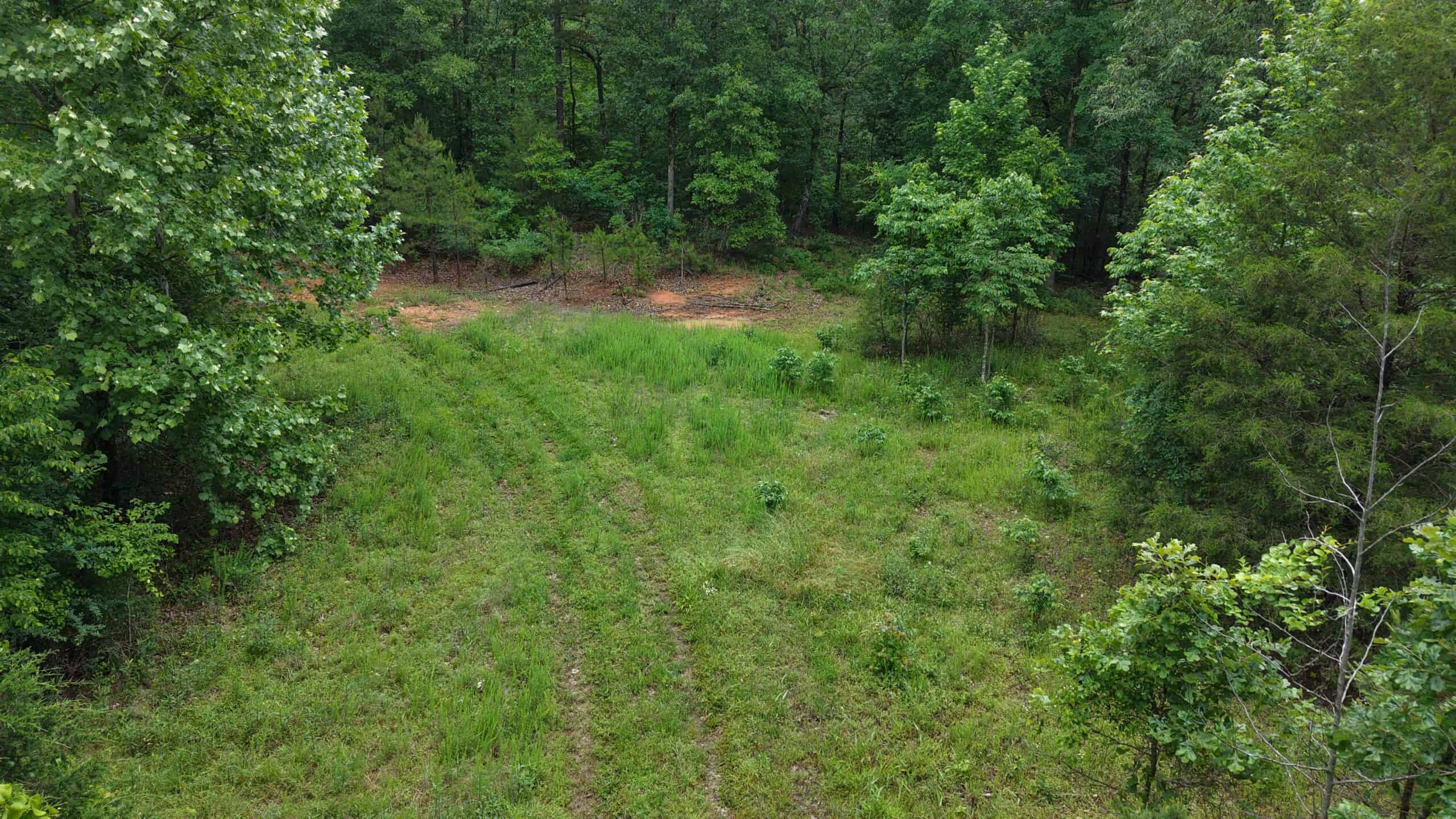 HUNTING LAND FOR SALE IN NORTH CENTRAL ARKANSAS