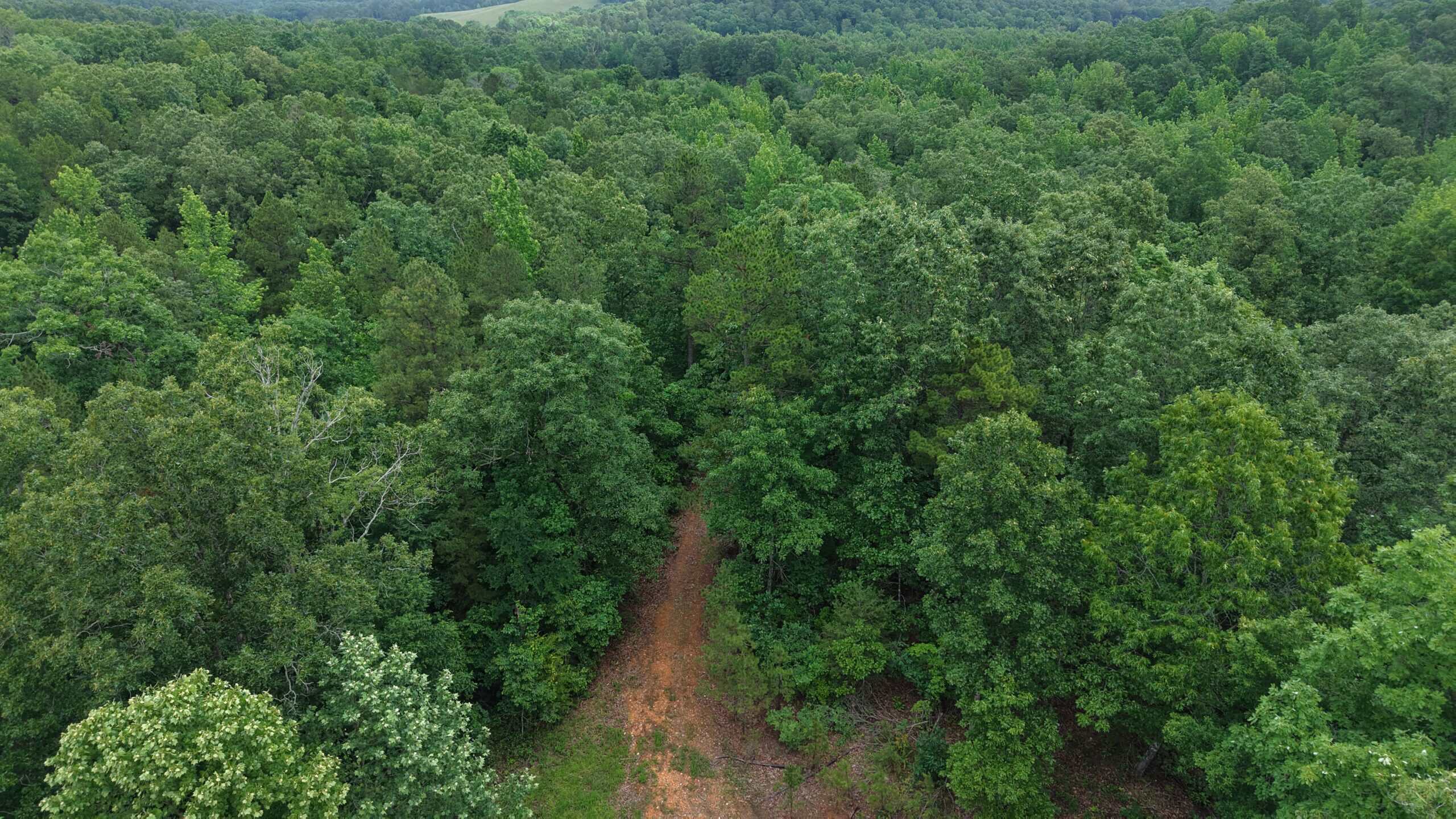 HUNTING LAND FOR SALE IN NORTH CENTRAL ARKANSAS