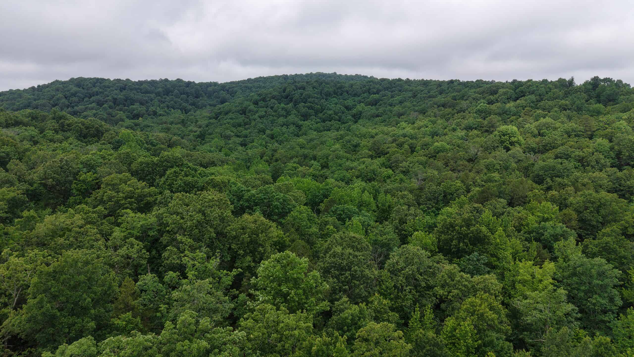 HUNTING LAND FOR SALE IN NORTH CENTRAL ARKANSAS