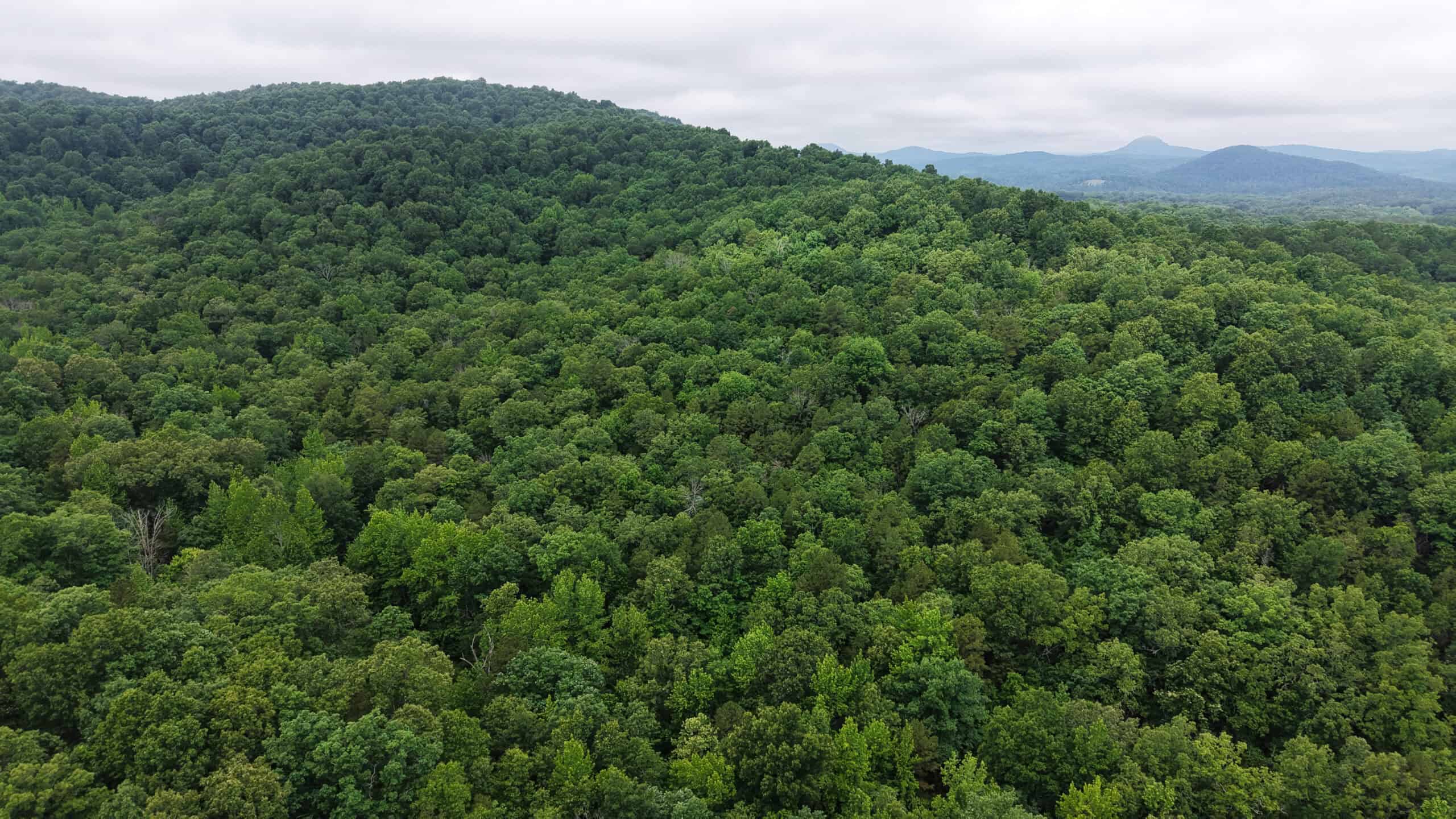 HUNTING LAND FOR SALE IN NORTH CENTRAL ARKANSAS