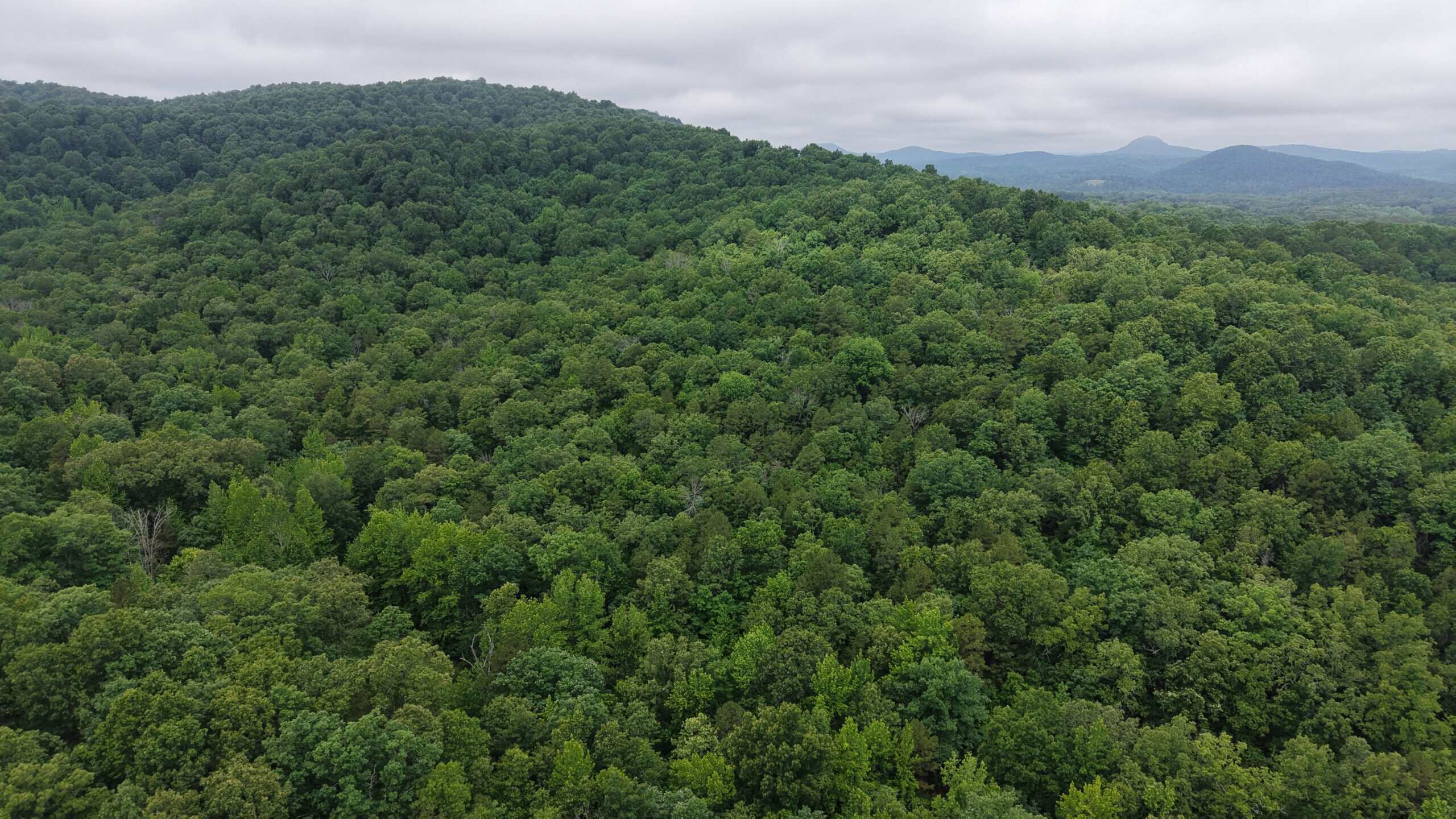 HUNTING LAND FOR SALE IN NORTH CENTRAL ARKANSAS
