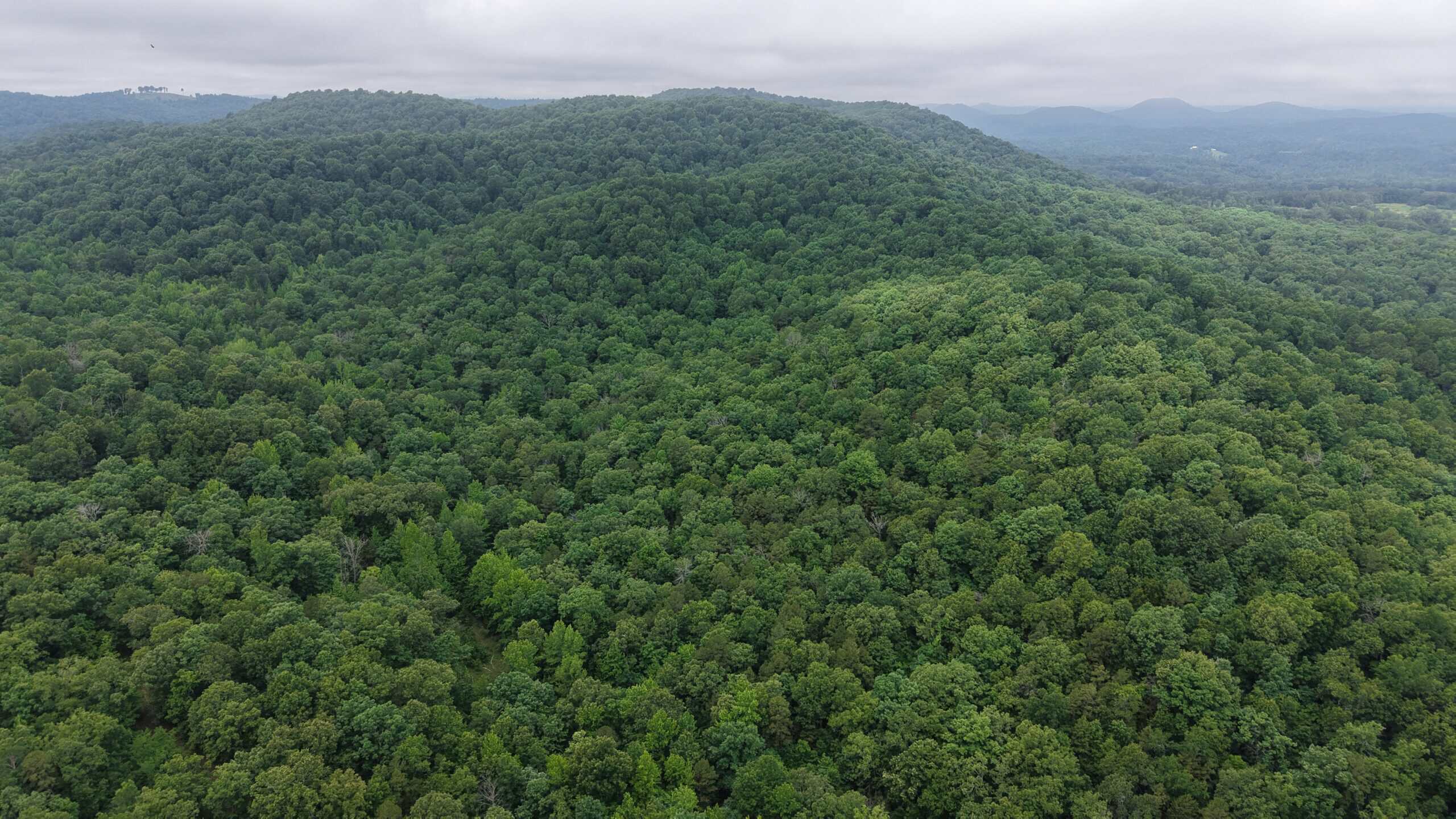 HUNTING LAND FOR SALE IN NORTH CENTRAL ARKANSAS