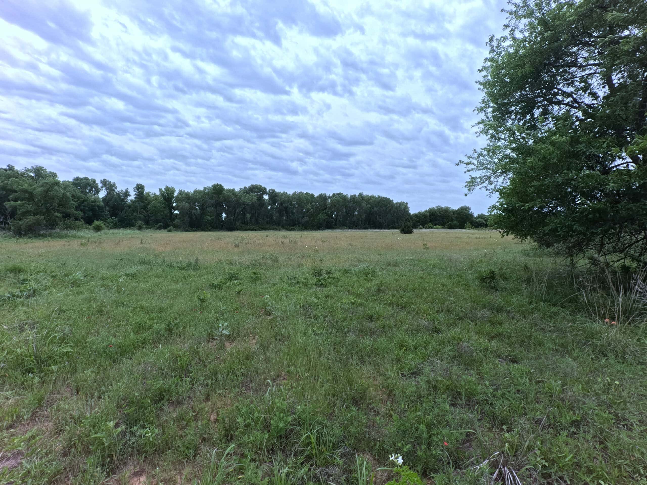 Tranquil 80 acre Ranch, Cotton County Ok