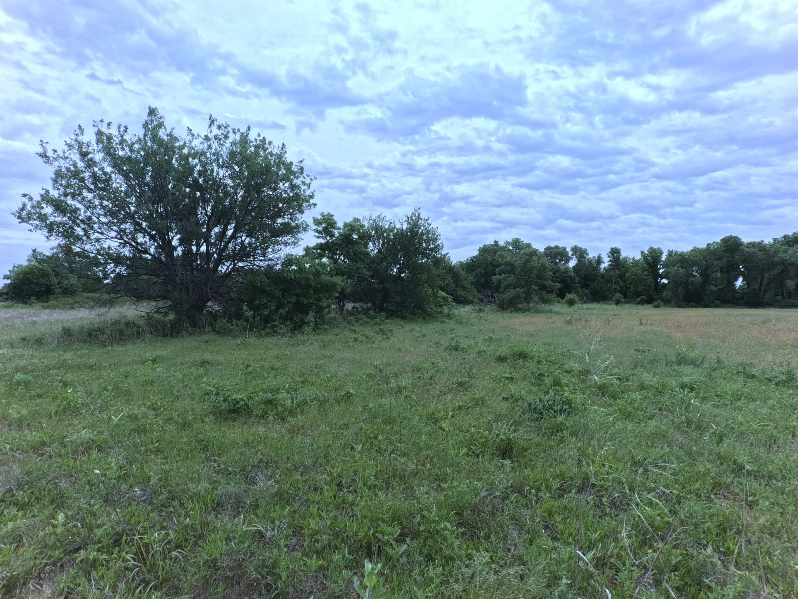 Tranquil 80 acre Ranch, Cotton County Ok