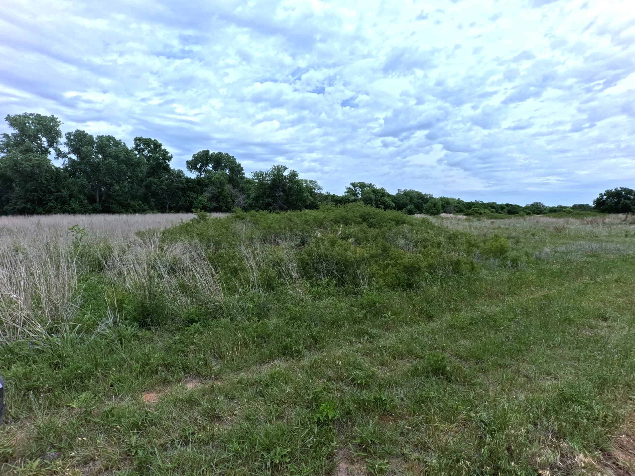 Tranquil 80 acre Ranch, Cotton County Ok