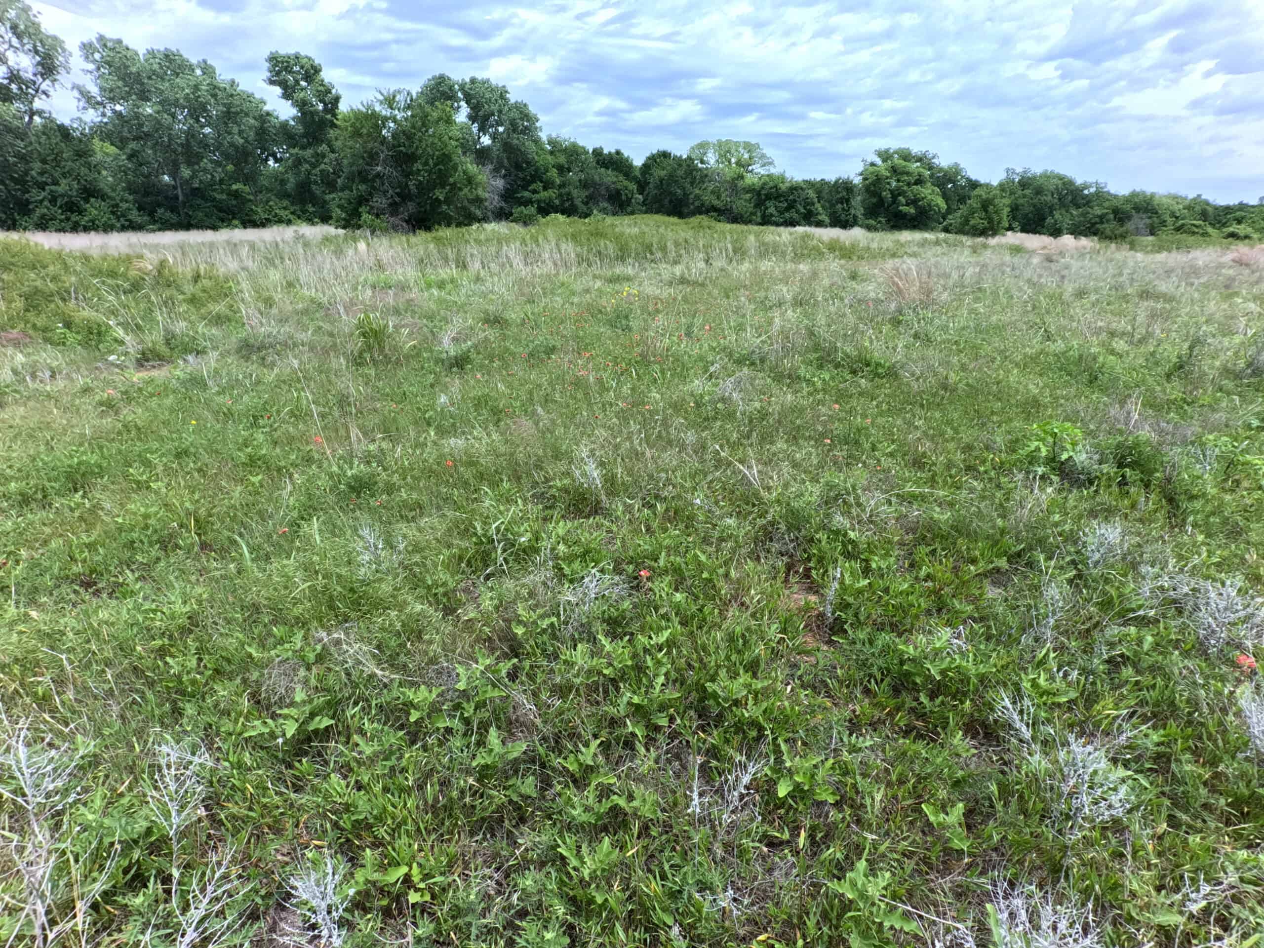 Tranquil 80 acre Ranch, Cotton County Ok
