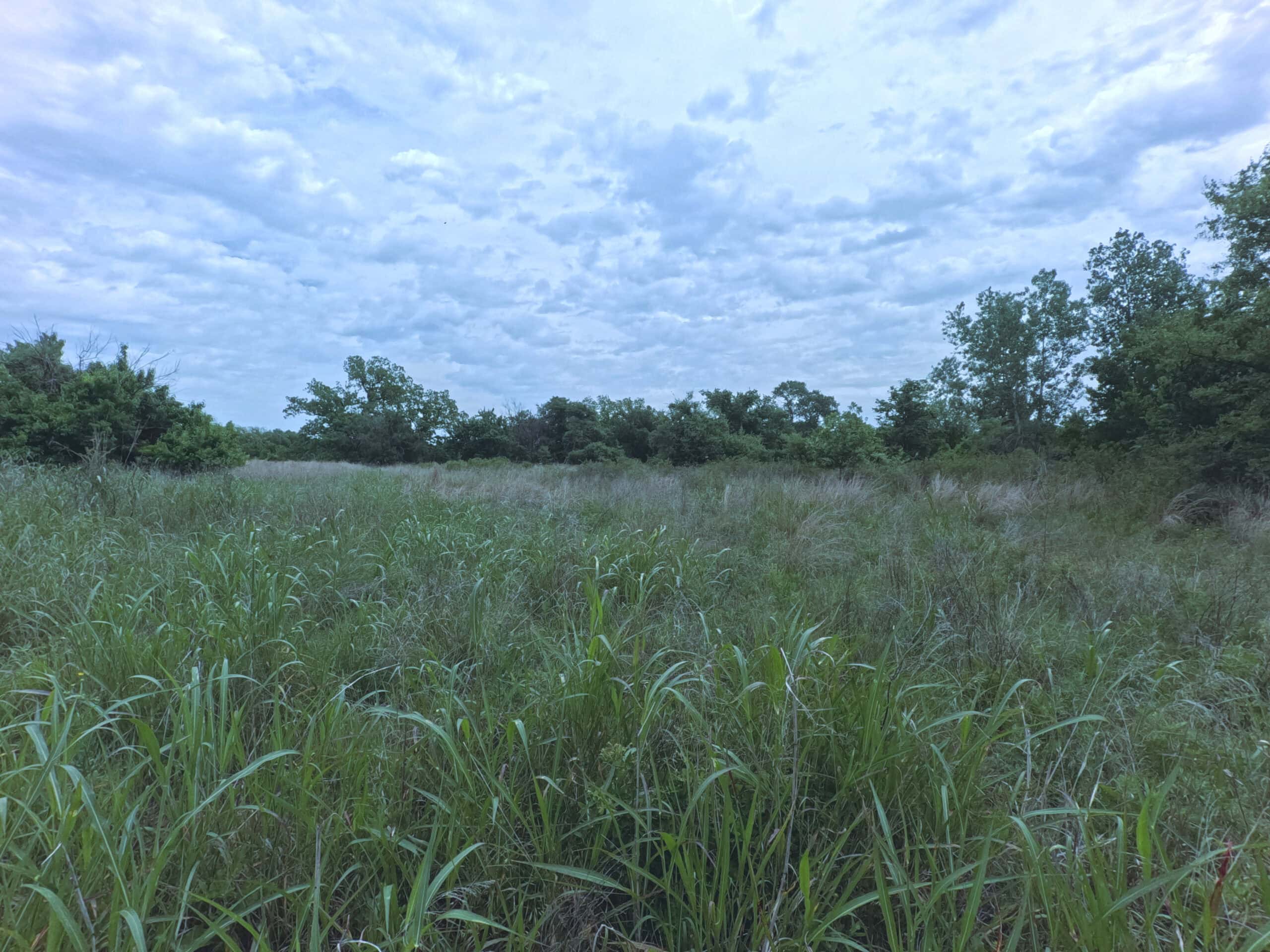 Tranquil 80 acre Ranch, Cotton County Ok