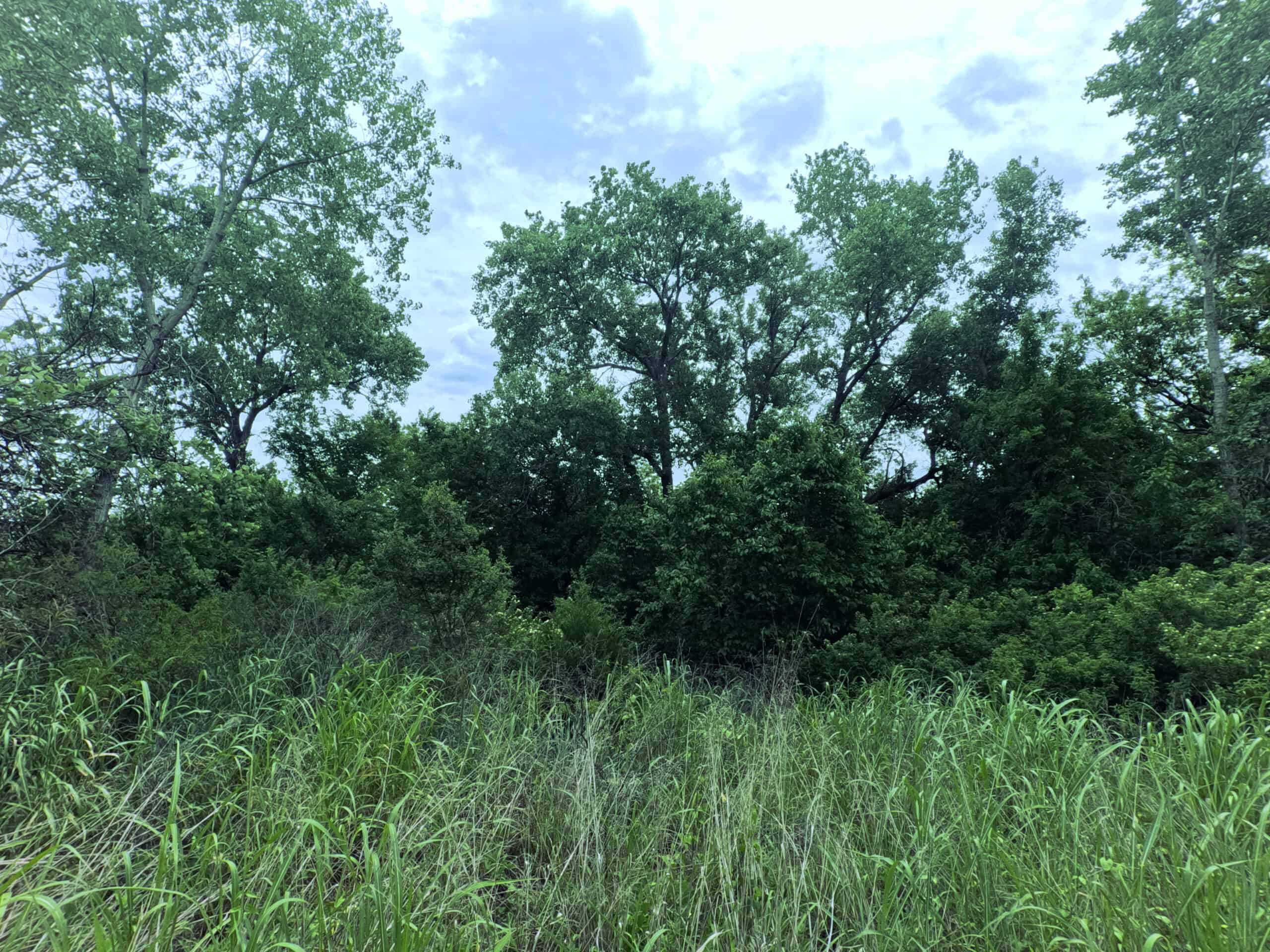 Tranquil 80 acre Ranch, Cotton County Ok
