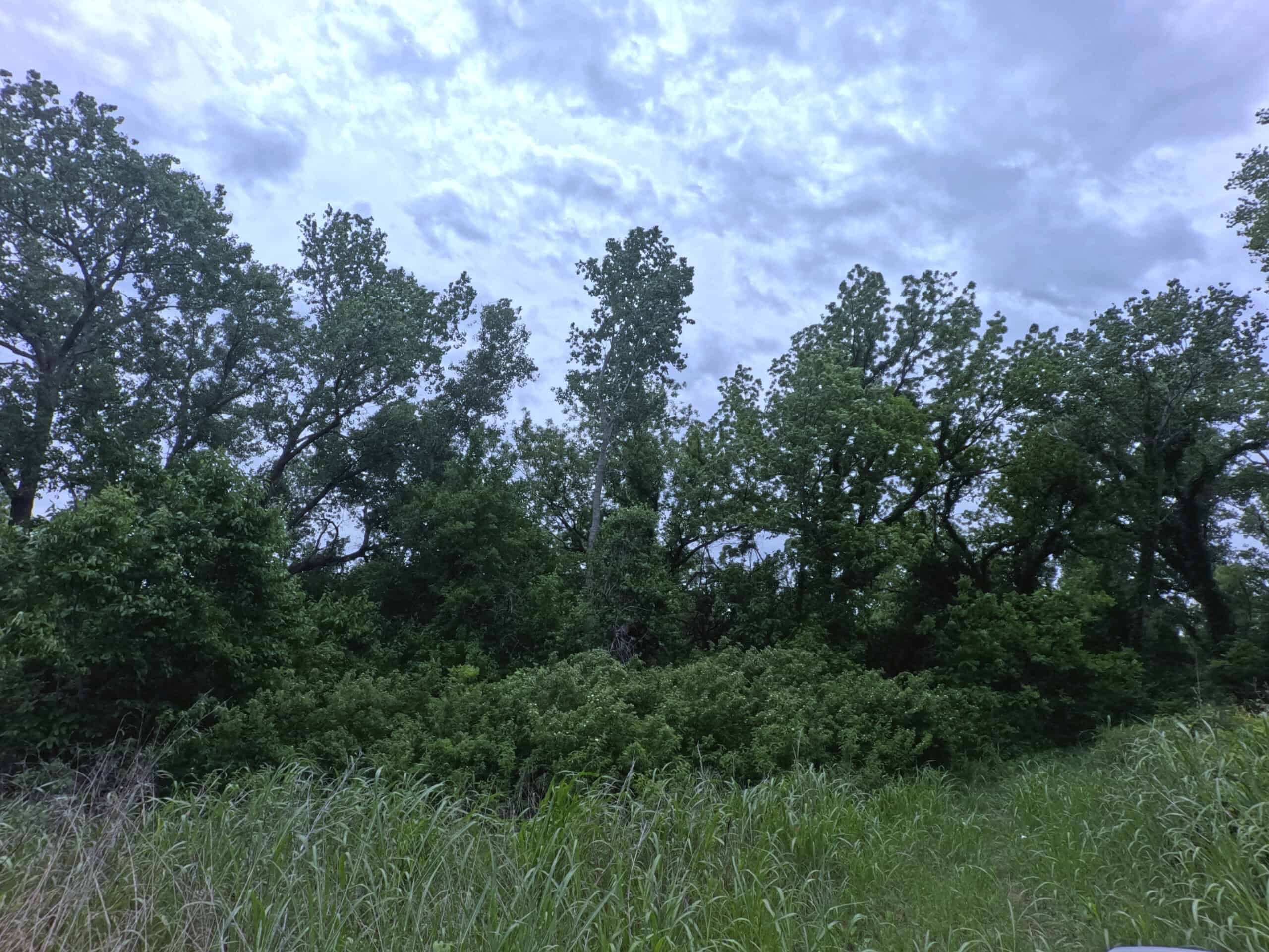 Tranquil 80 acre Ranch, Cotton County Ok