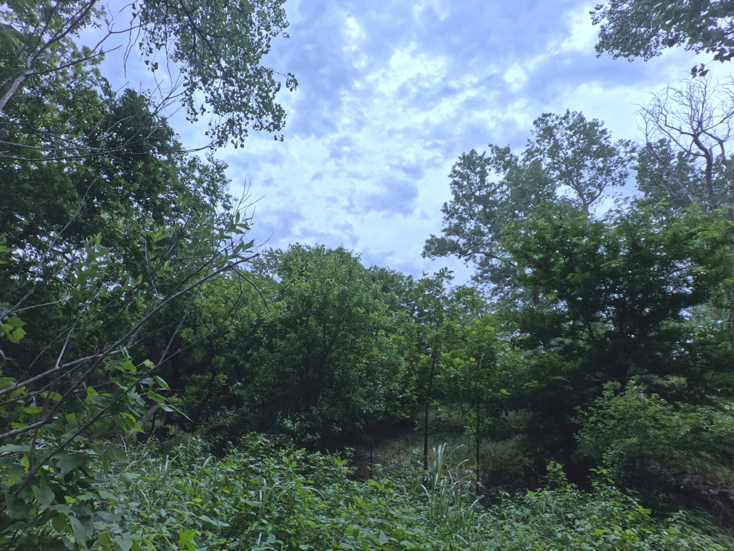 Tranquil 80 acre Ranch, Cotton County Ok