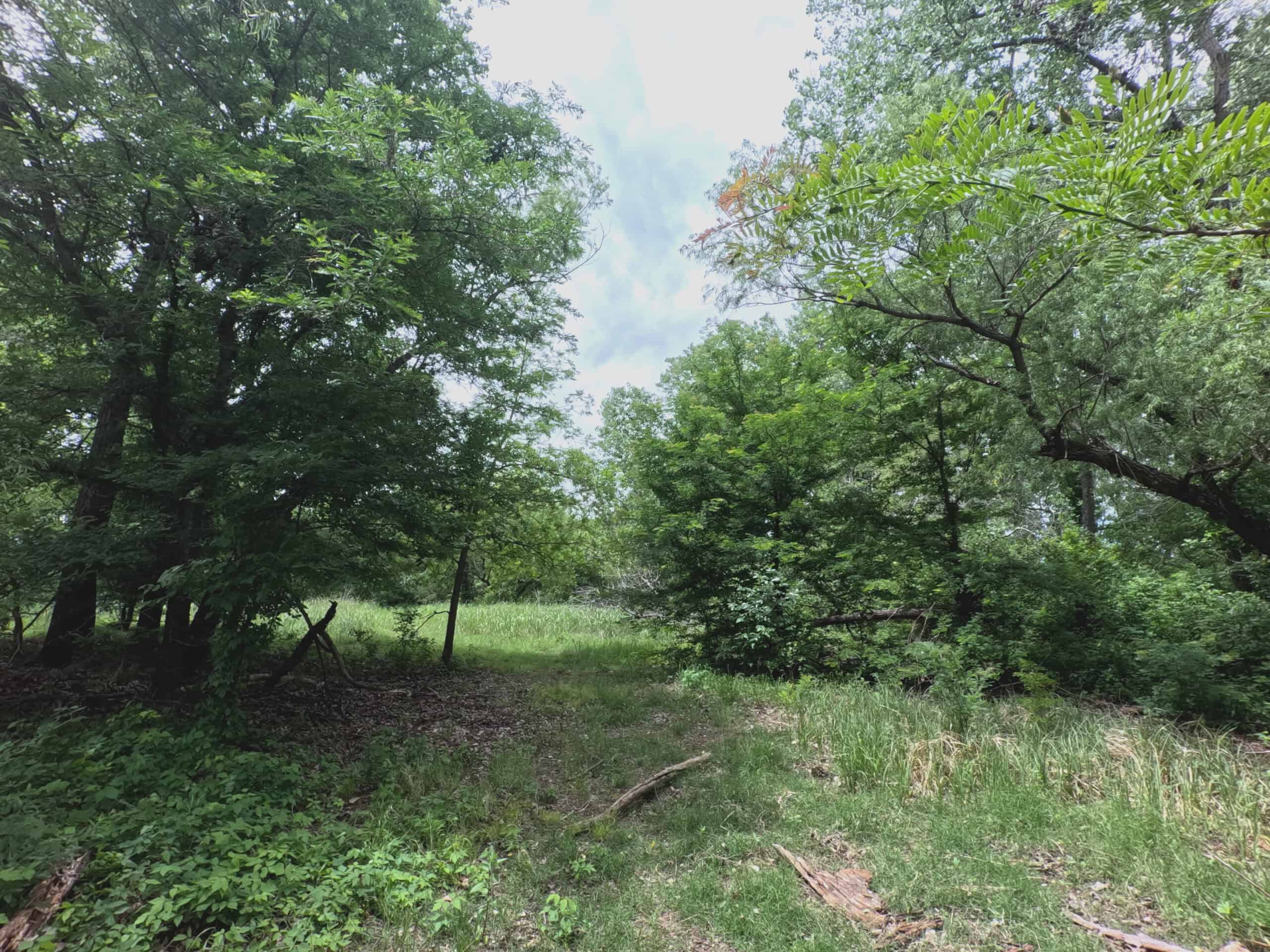 Tranquil 80 acre Ranch, Cotton County Ok