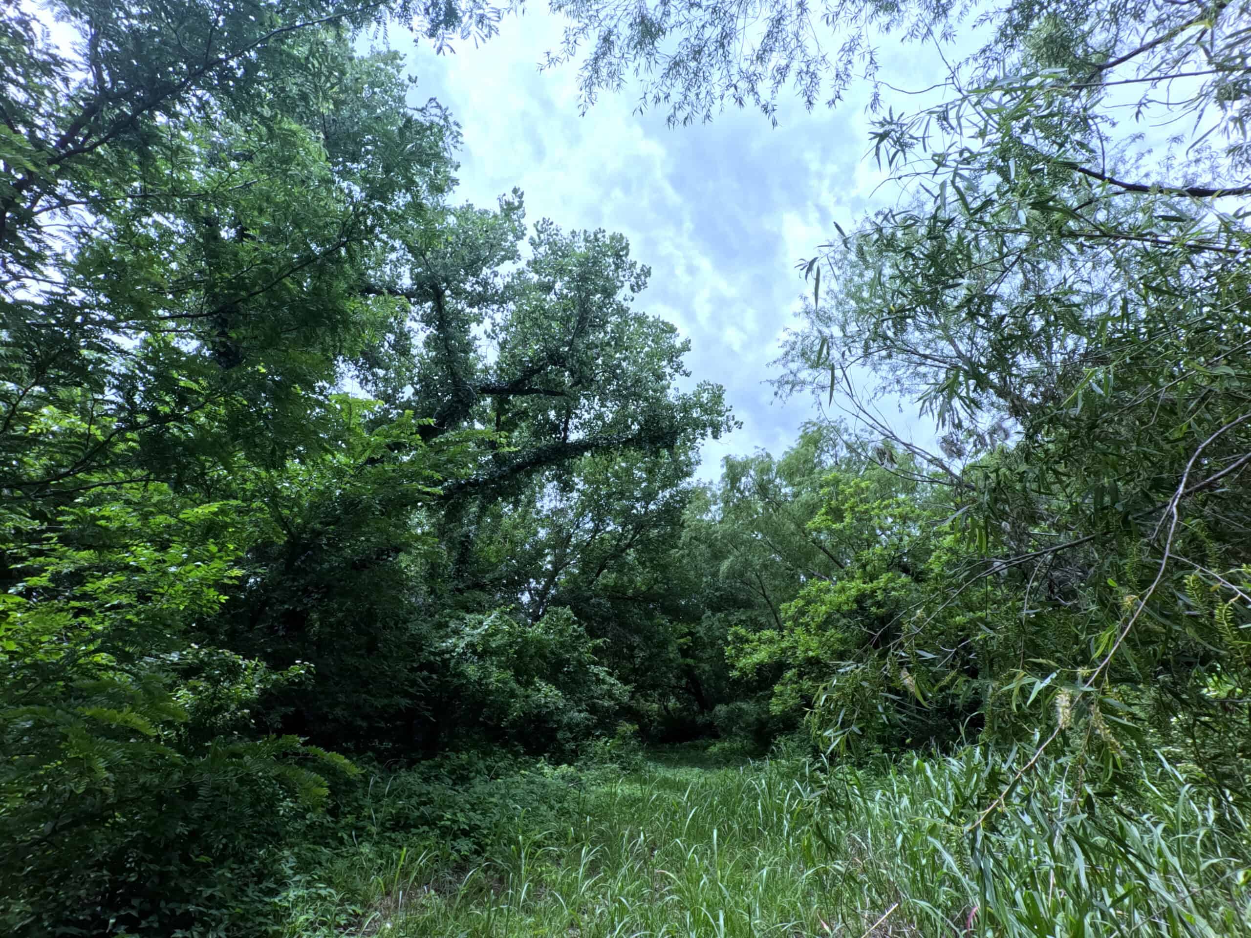 Tranquil 80 acre Ranch, Cotton County Ok