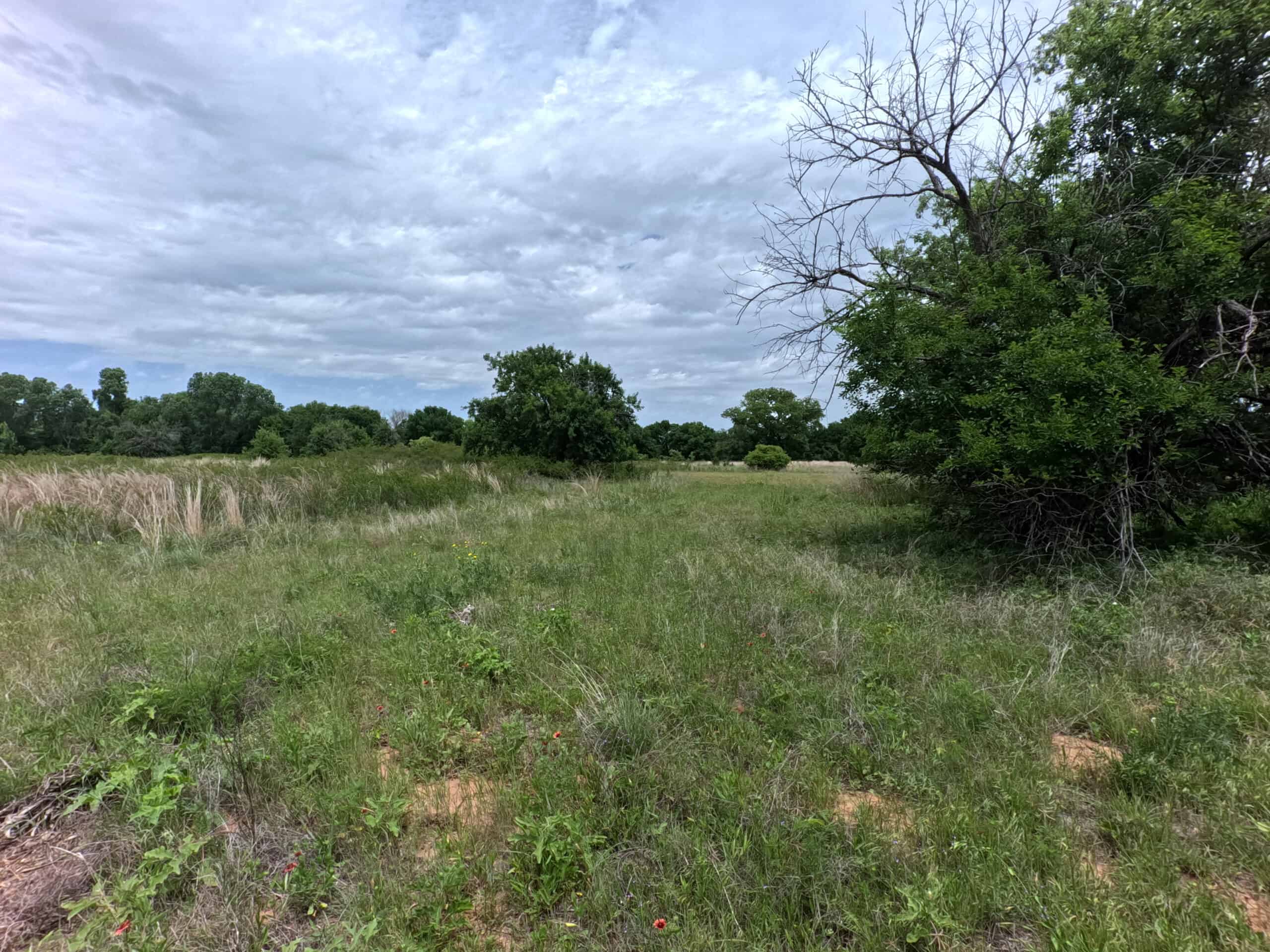 Tranquil 80 acre Ranch, Cotton County Ok