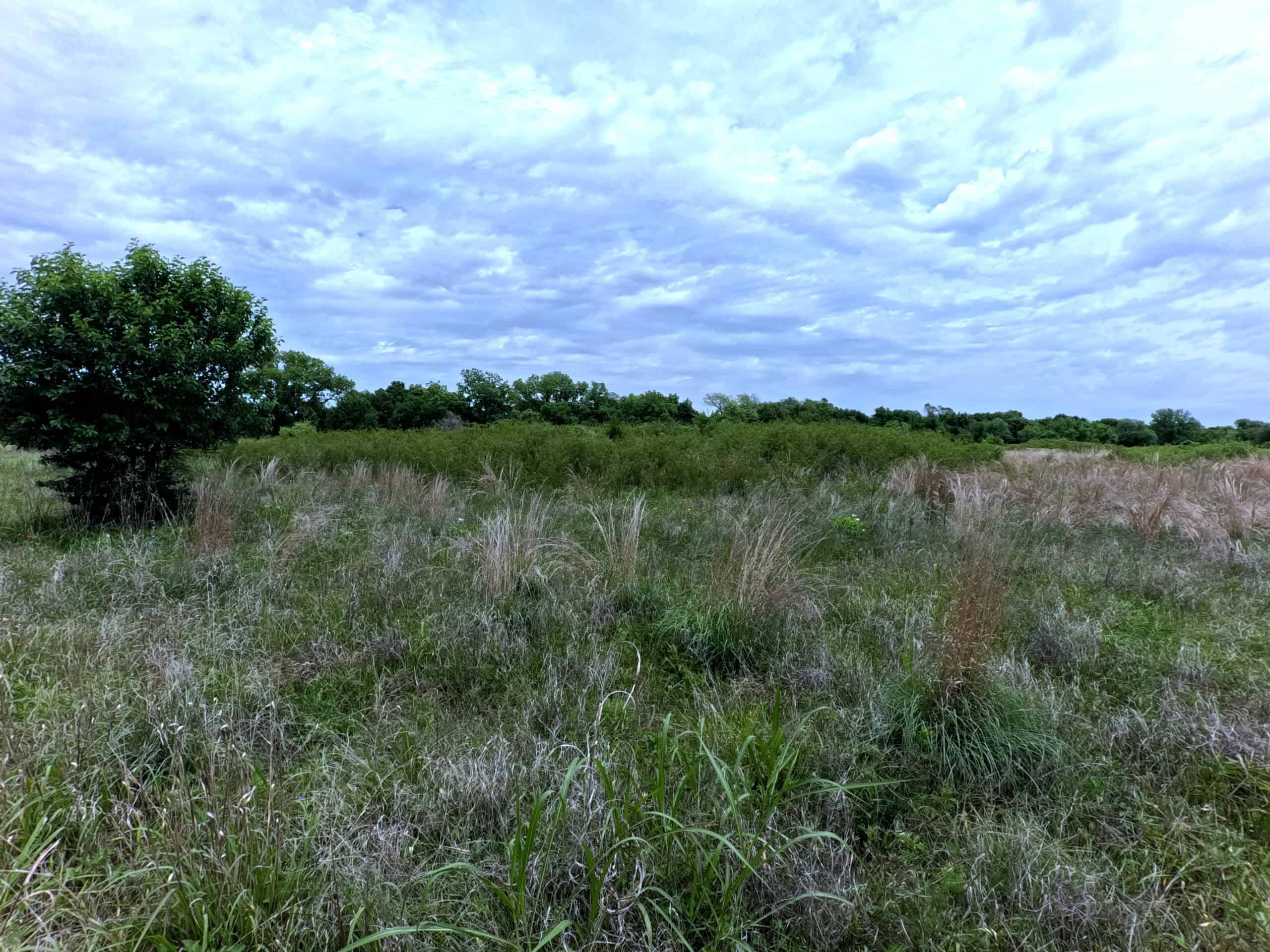 Tranquil 80 acre Ranch, Cotton County Ok
