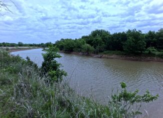 Tranquil 80 acre Ranch, Cotton County Ok