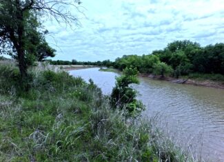 Tranquil 80 acre Ranch, Cotton County Ok