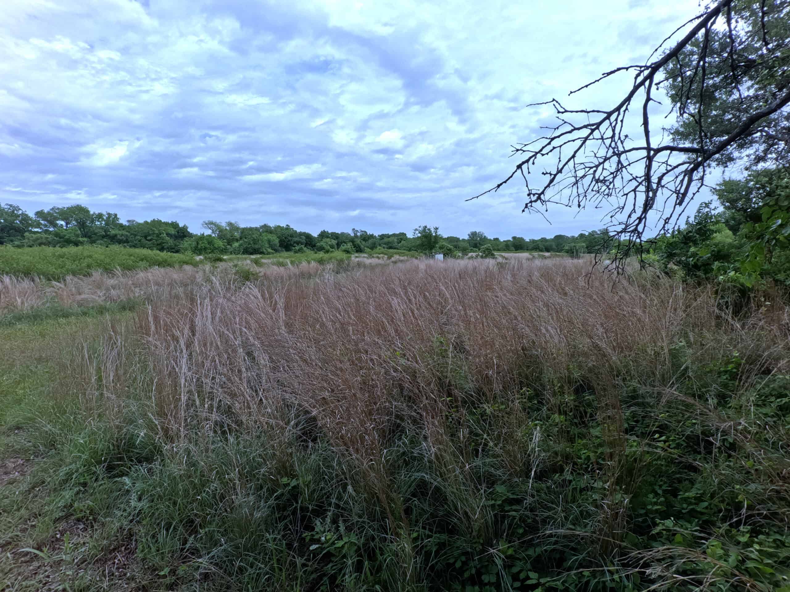 Tranquil 80 acre Ranch, Cotton County Ok