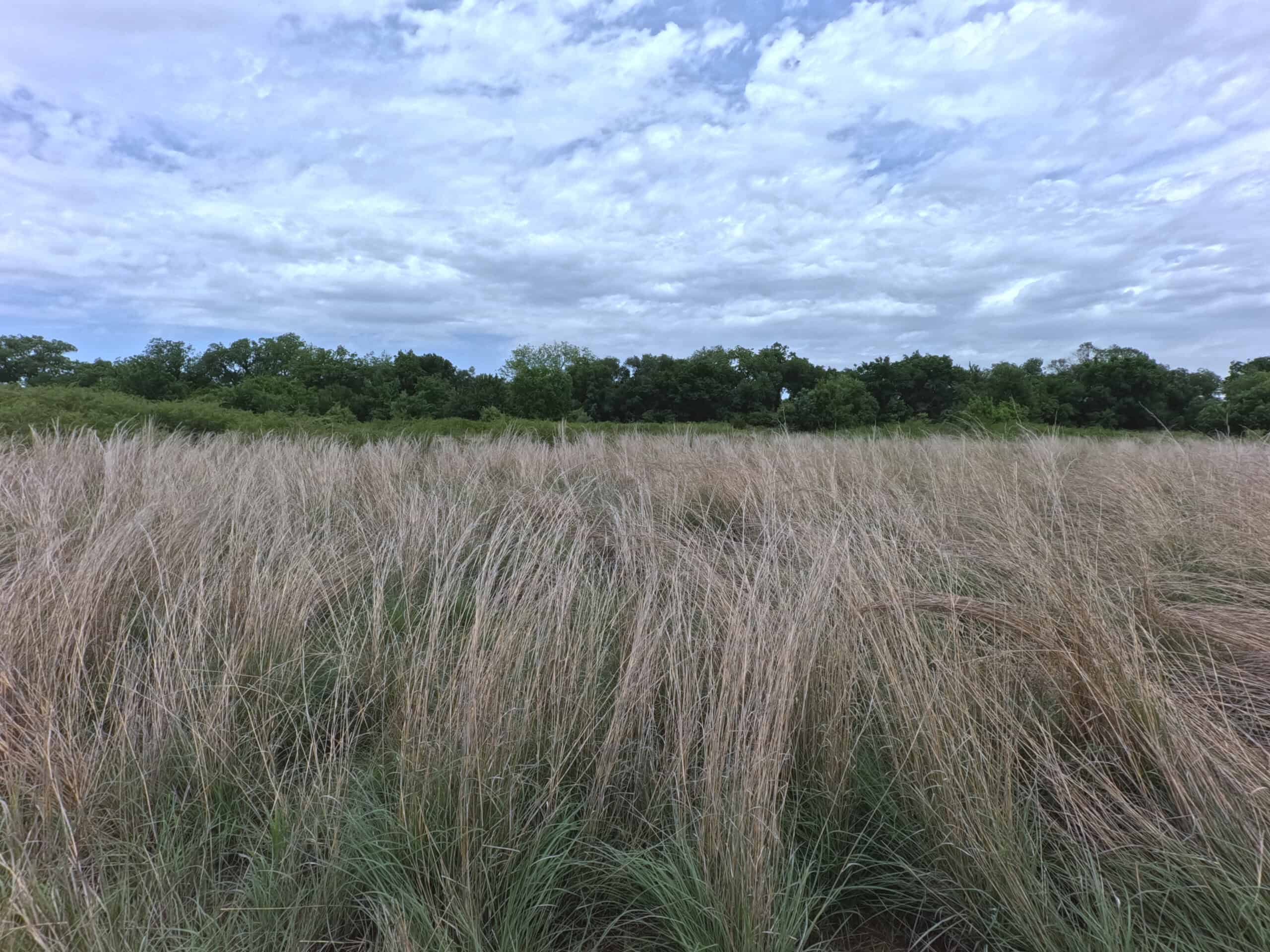 Tranquil 80 acre Ranch, Cotton County Ok