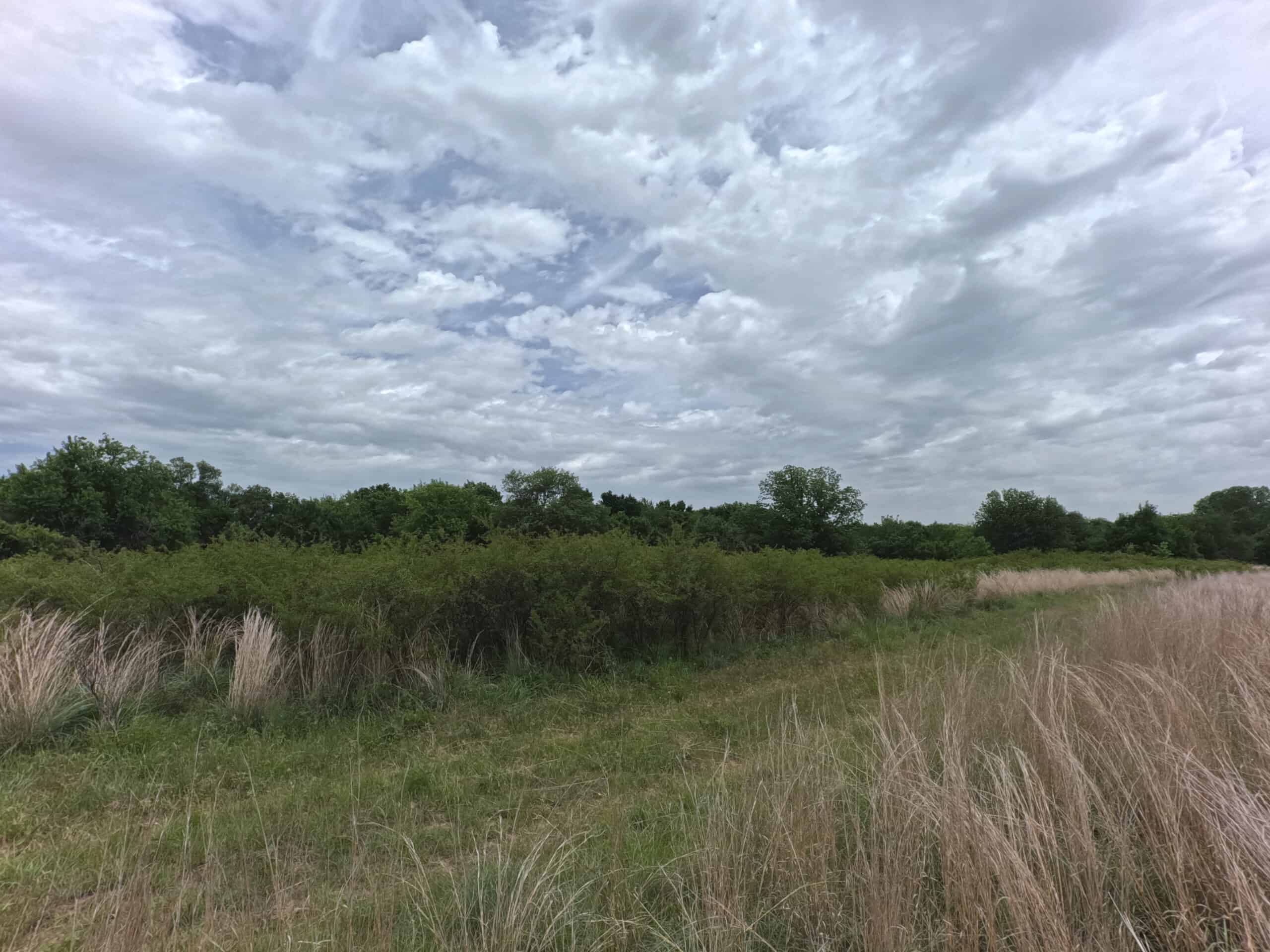 Tranquil 80 acre Ranch, Cotton County Ok