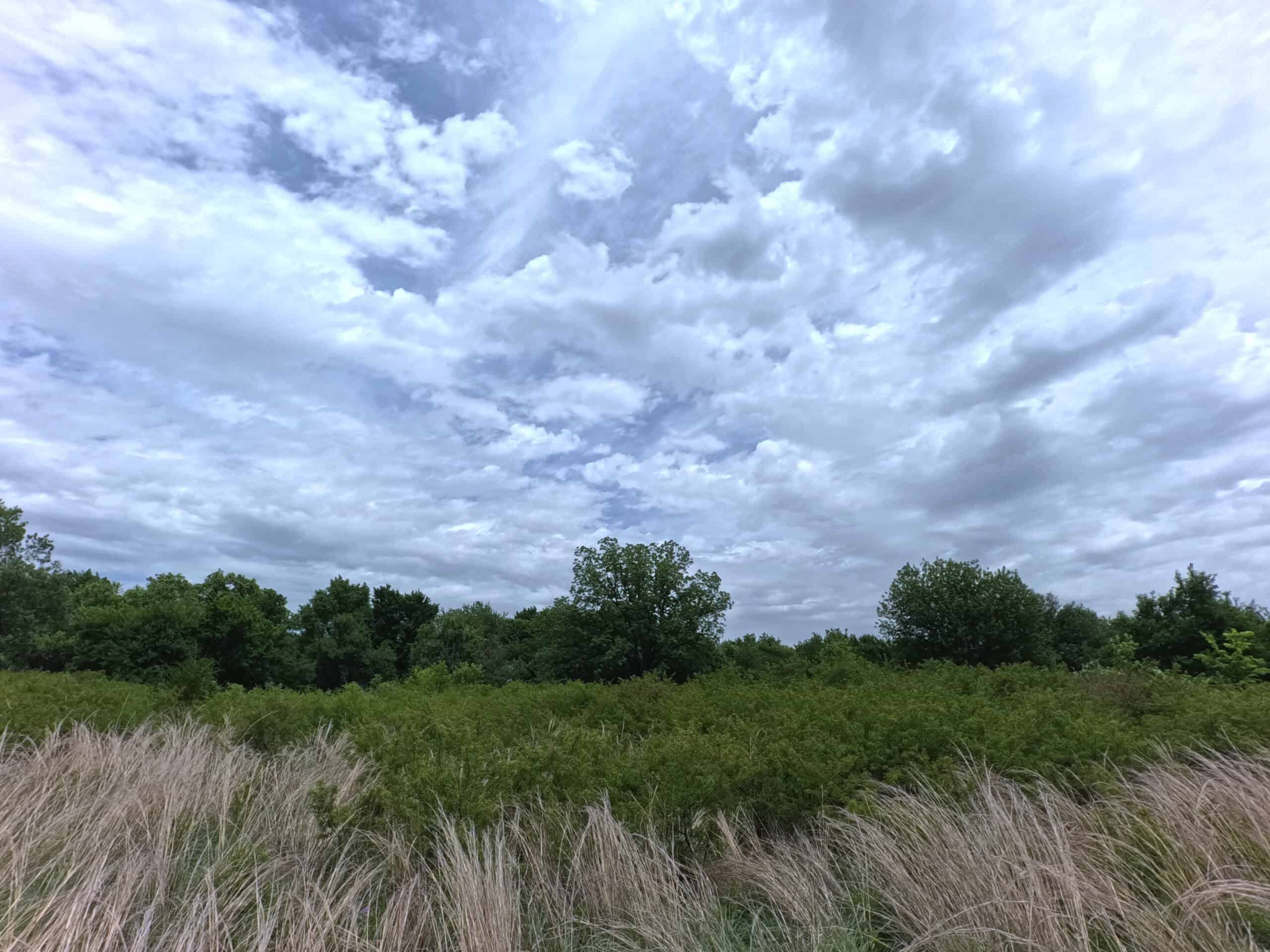 Tranquil 80 acre Ranch, Cotton County Ok