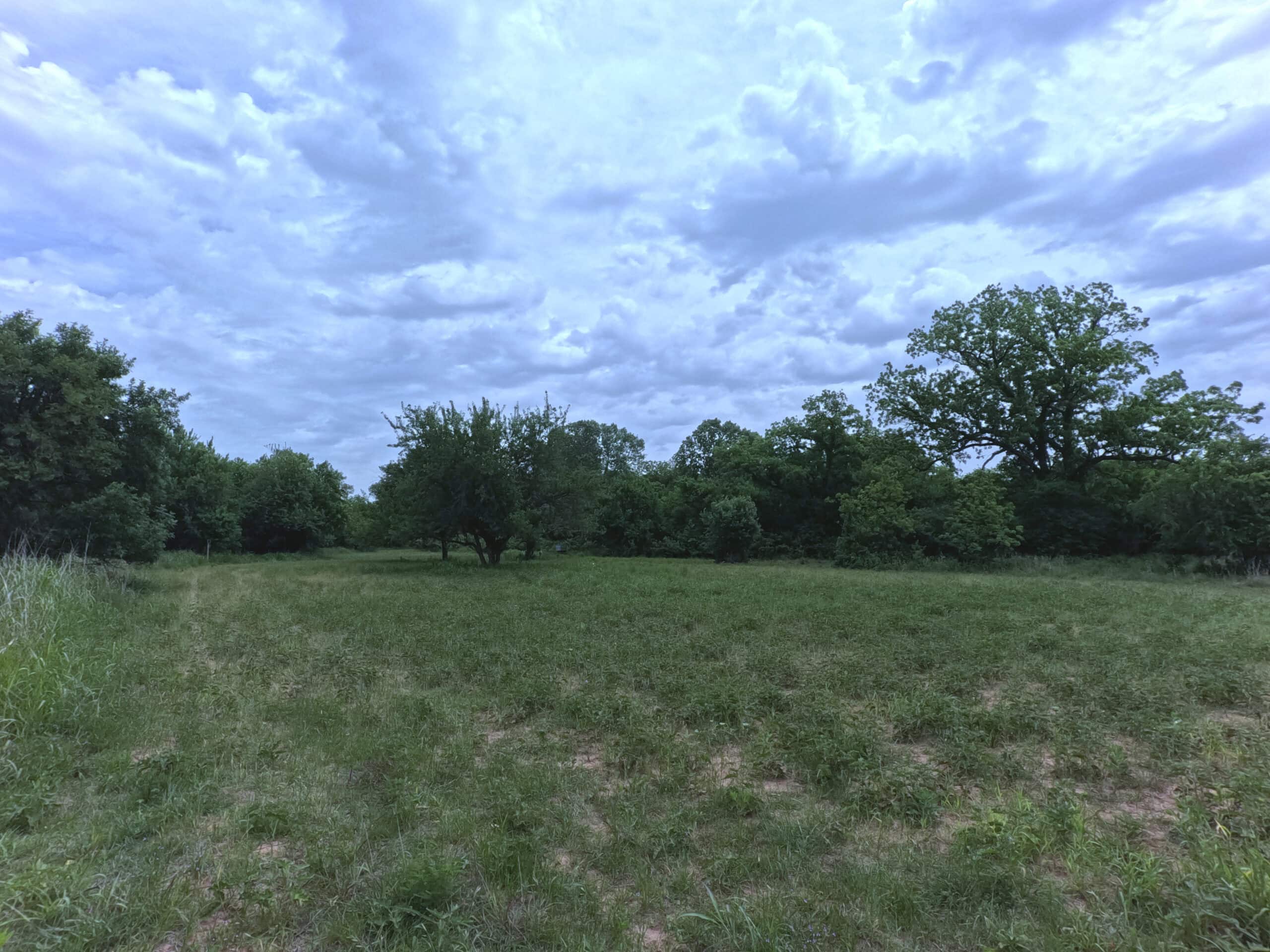 Tranquil 80 acre Ranch, Cotton County Ok