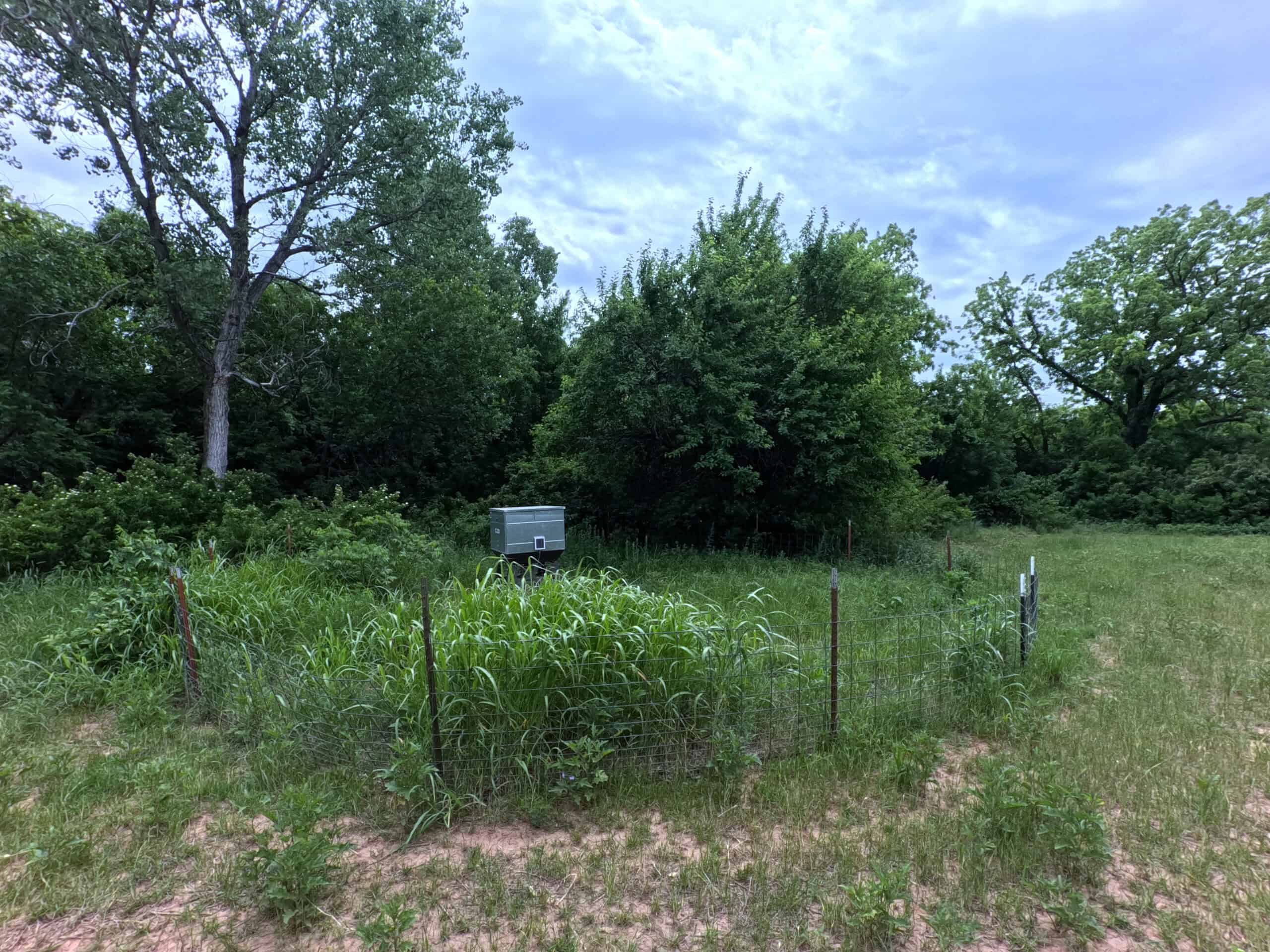 Tranquil 80 acre Ranch, Cotton County Ok