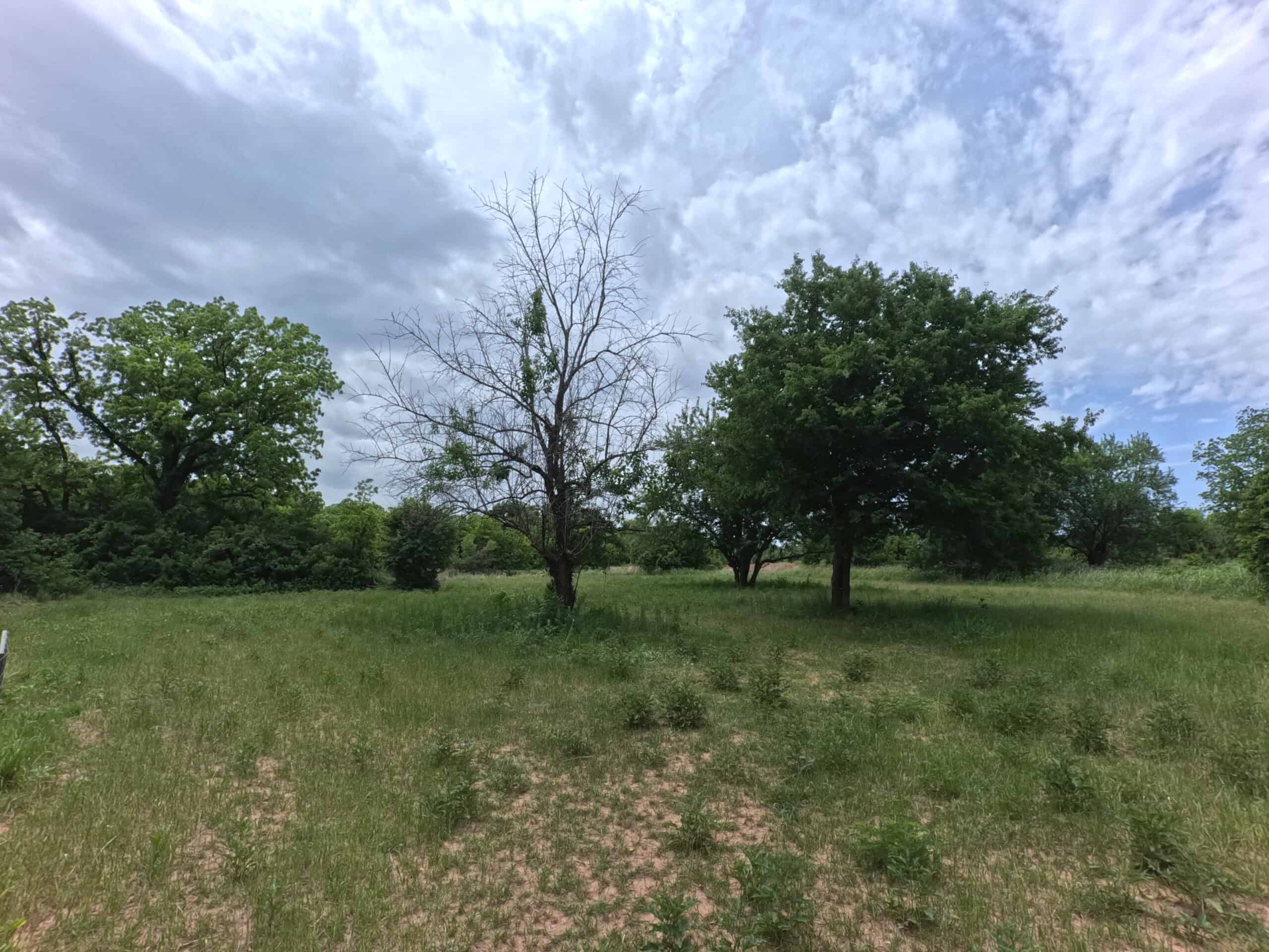 Tranquil 80 acre Ranch, Cotton County Ok