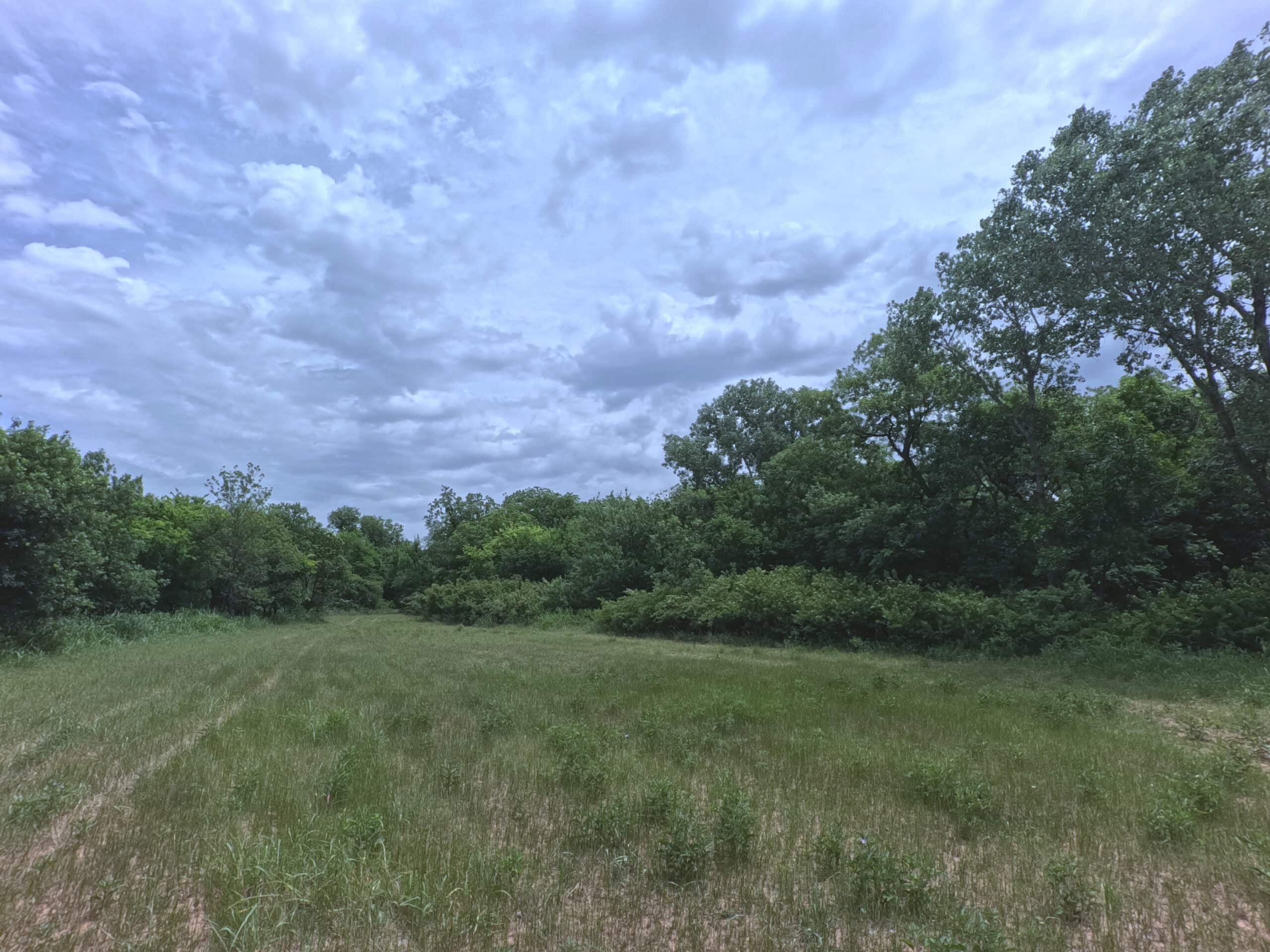 Tranquil 80 acre Ranch, Cotton County Ok