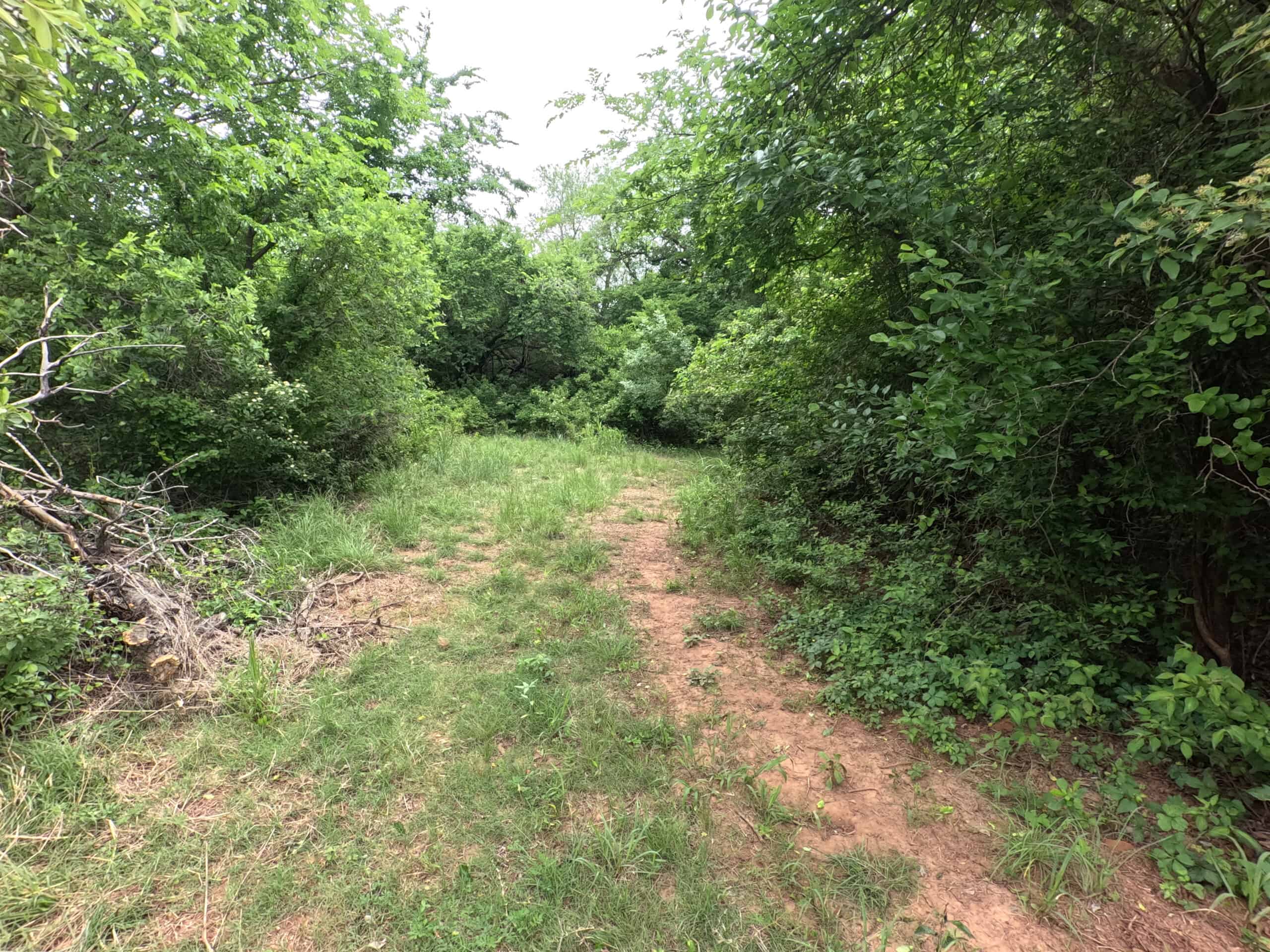 Tranquil 80 acre Ranch, Cotton County Ok