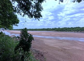 Tranquil 80 acre Ranch, Cotton County Ok