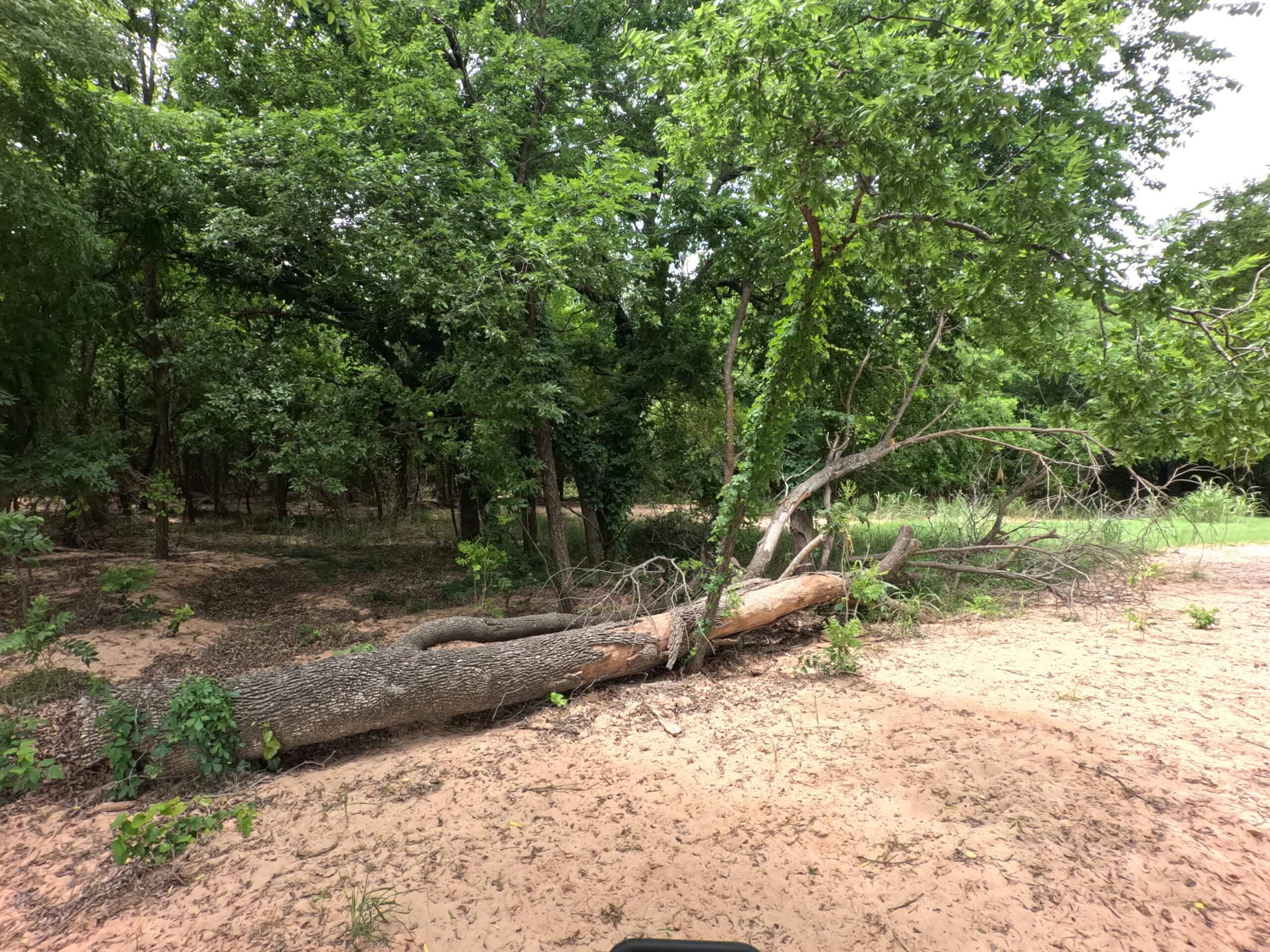 Tranquil 80 acre Ranch, Cotton County Ok