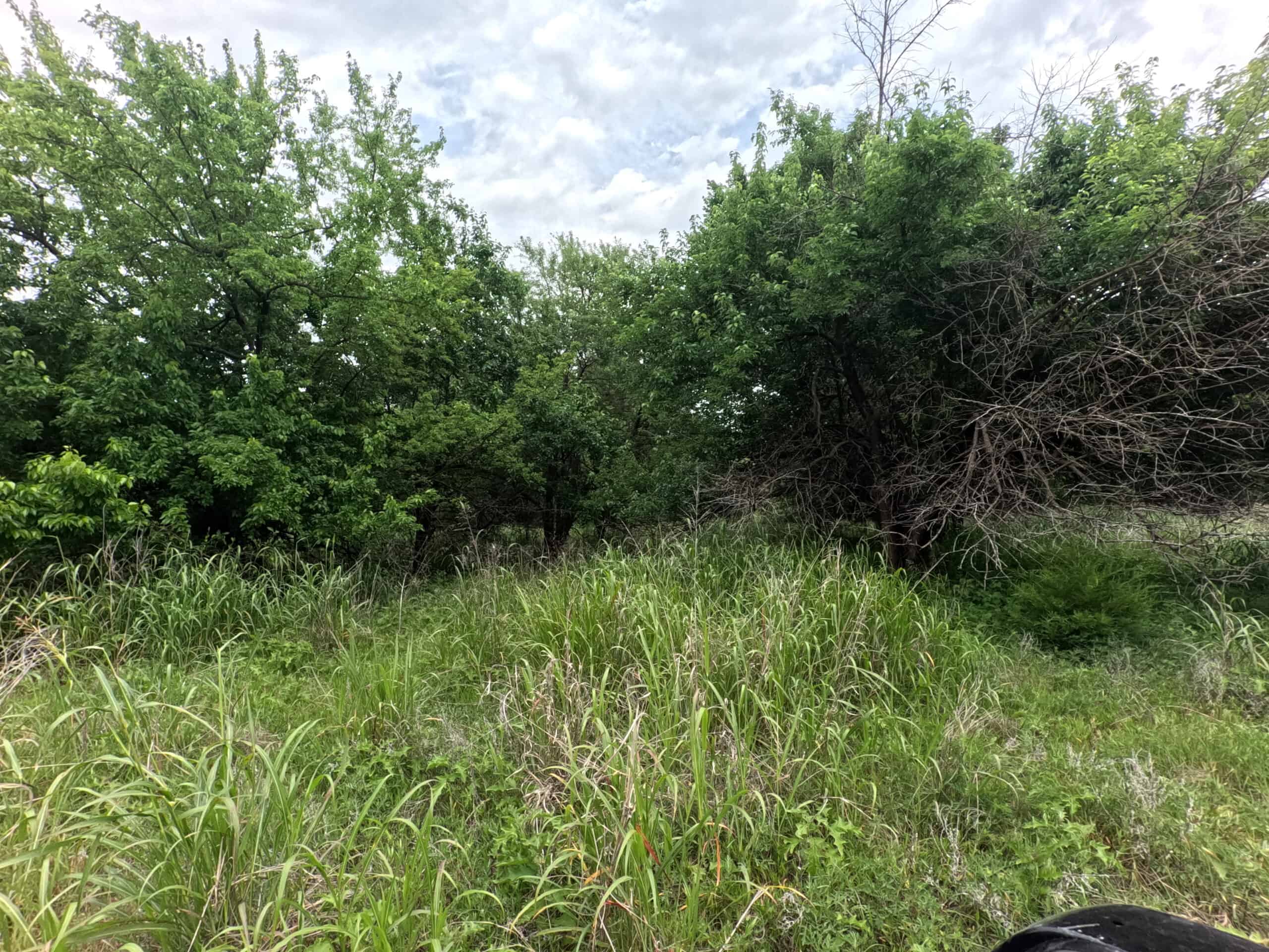 Tranquil 80 acre Ranch, Cotton County Ok