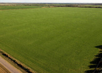 246 acres Farm/Ranch/Recreational Property for Sale in Iowa Park TX